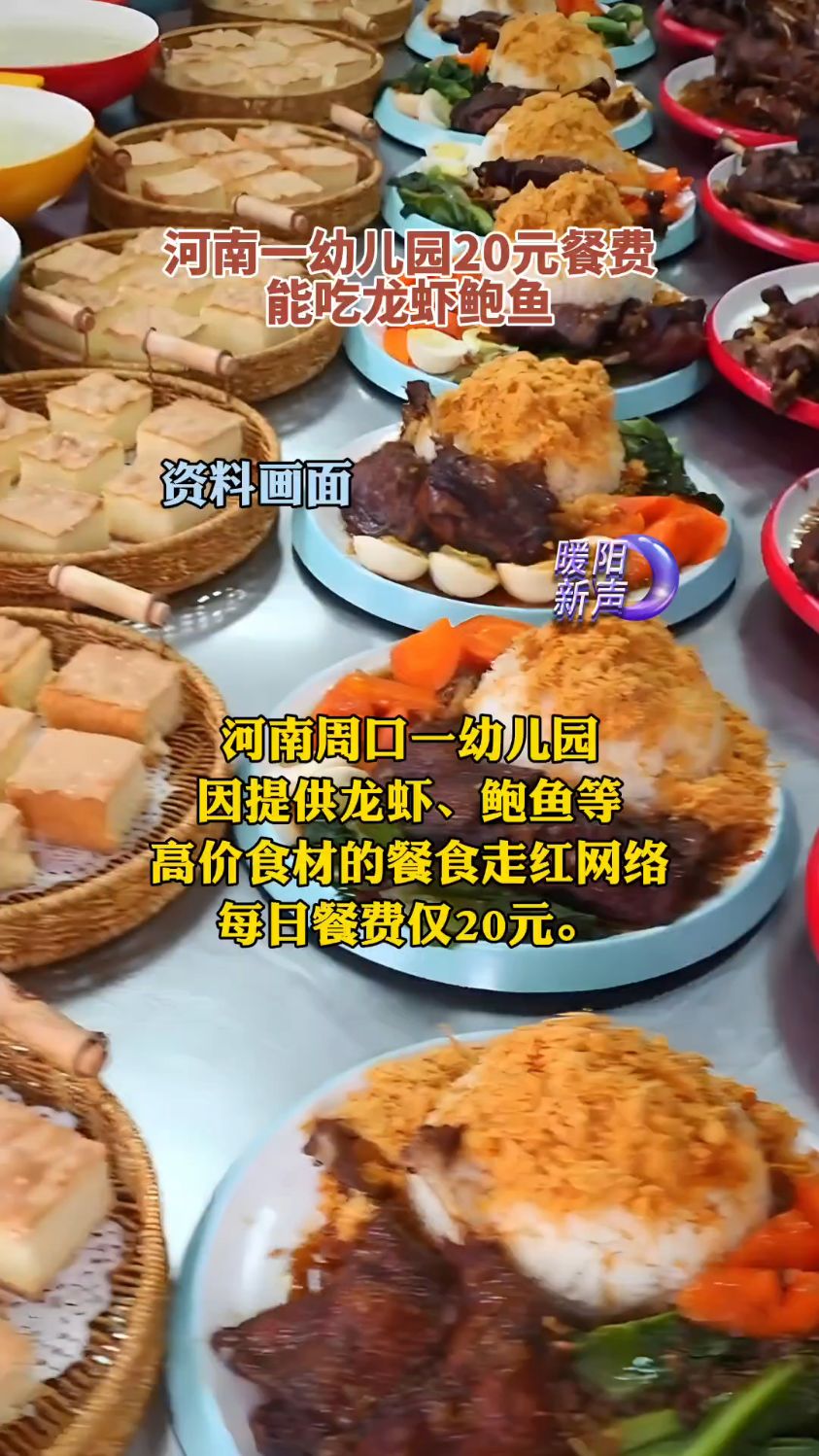 河南一幼儿园20元餐费能吃龙虾鲍鱼