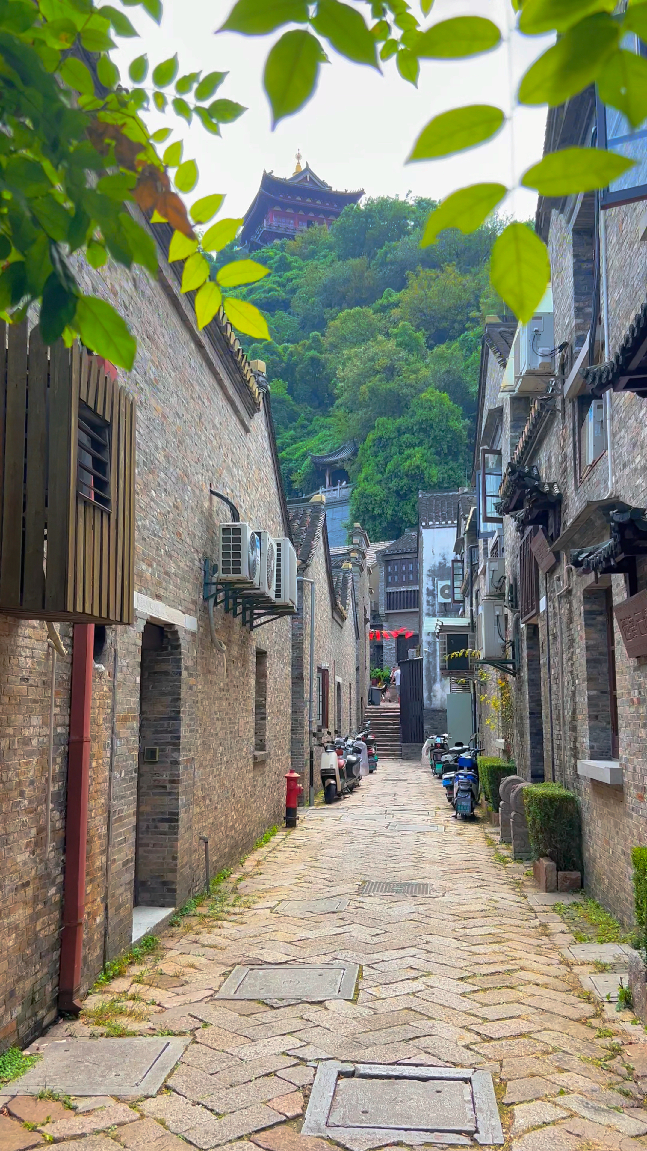 打卡镇江西津渡,一个充满烟火气的城市,最爱美食水晶肴肉