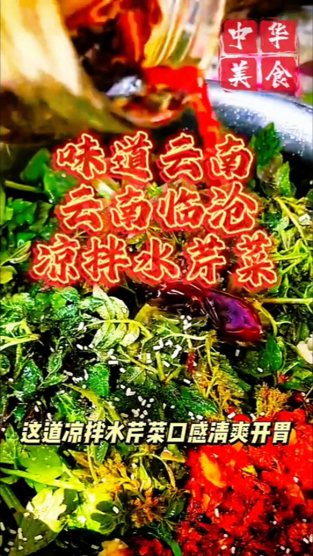味道云南:云南临沧:凉拌水芹菜