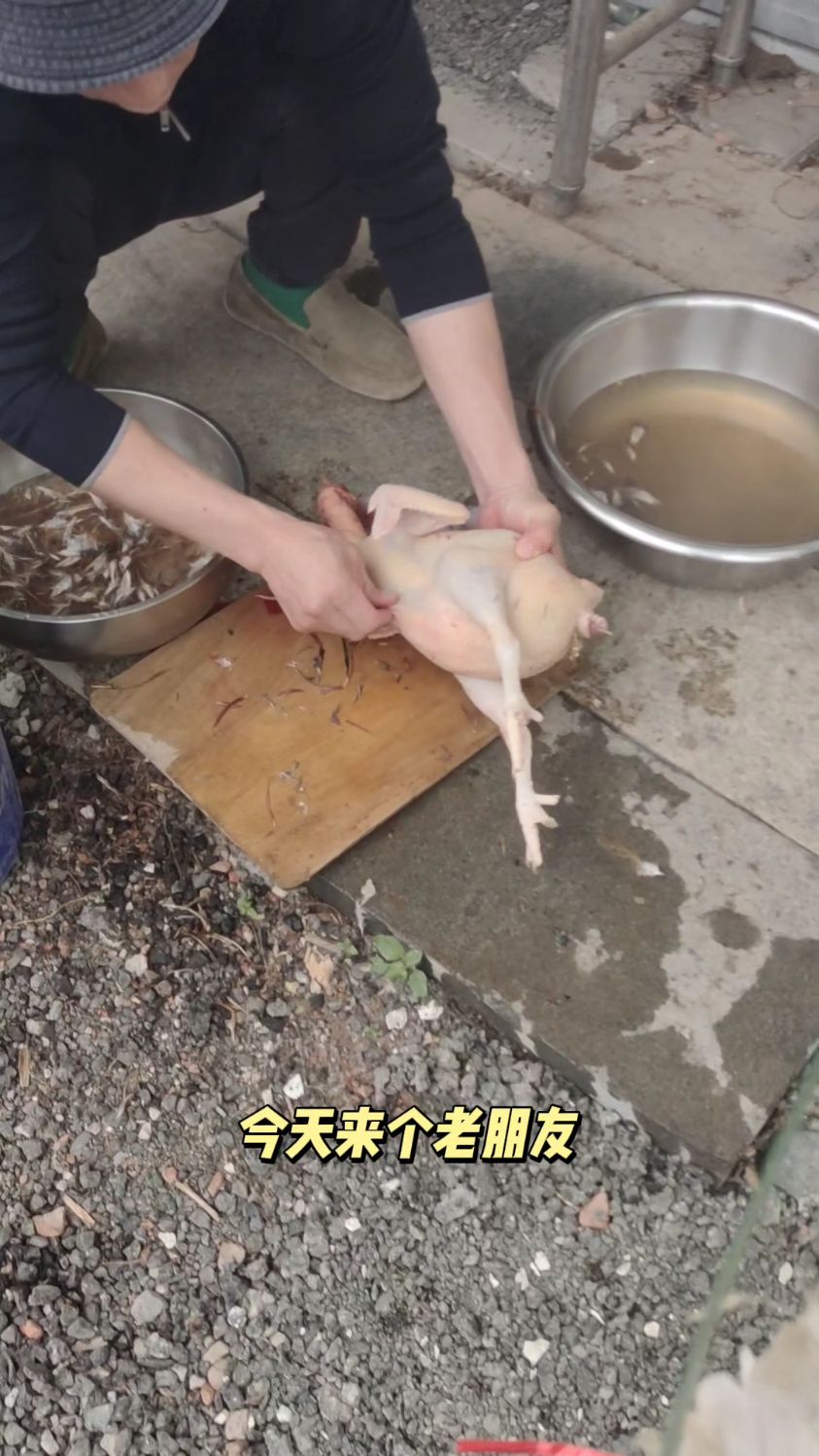 馋哭全网的农家美味!铁锅炖大鹅、小笨鸡,揭开锅盖瞬间香到跺脚