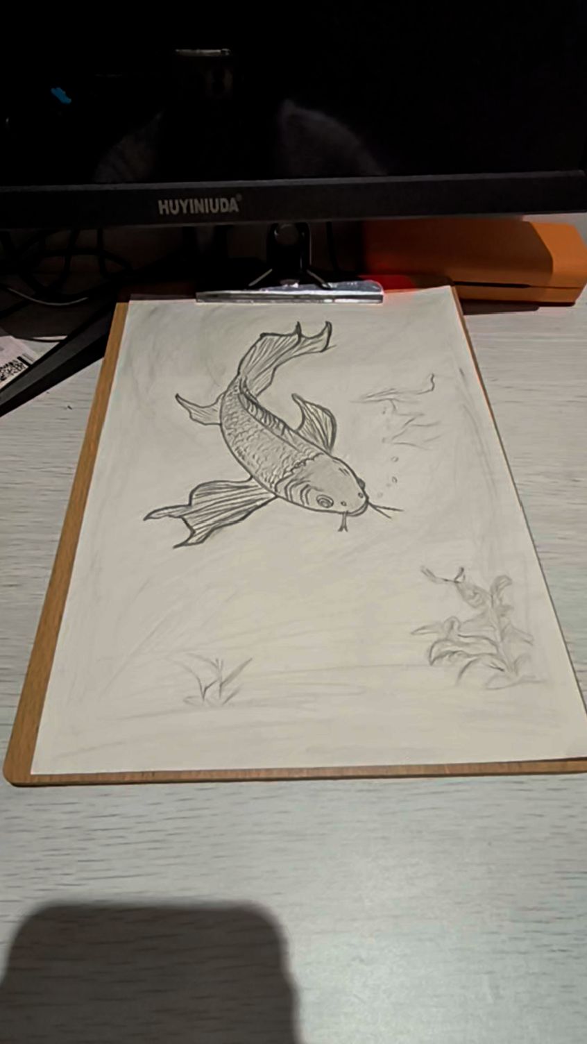 手绘鲤鱼，祝各位前程似锦，年年有余！