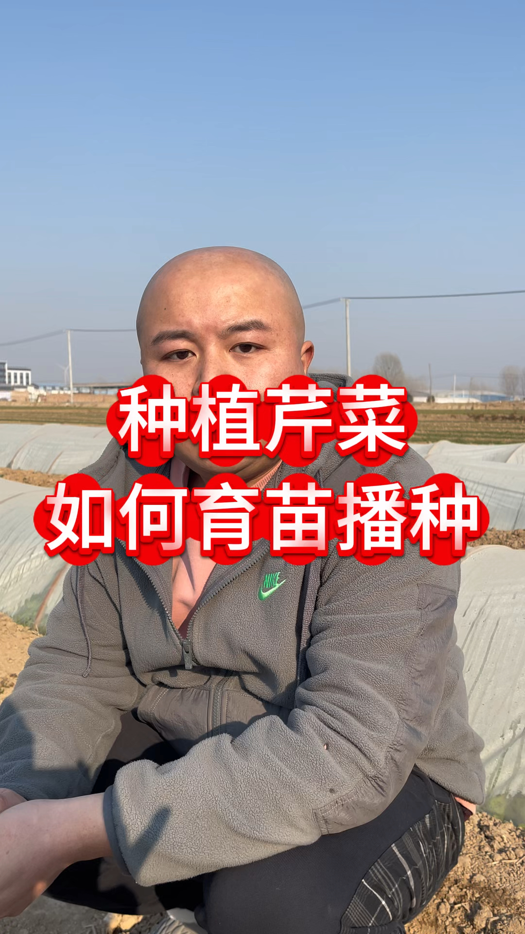种植芹菜如何育苗播种