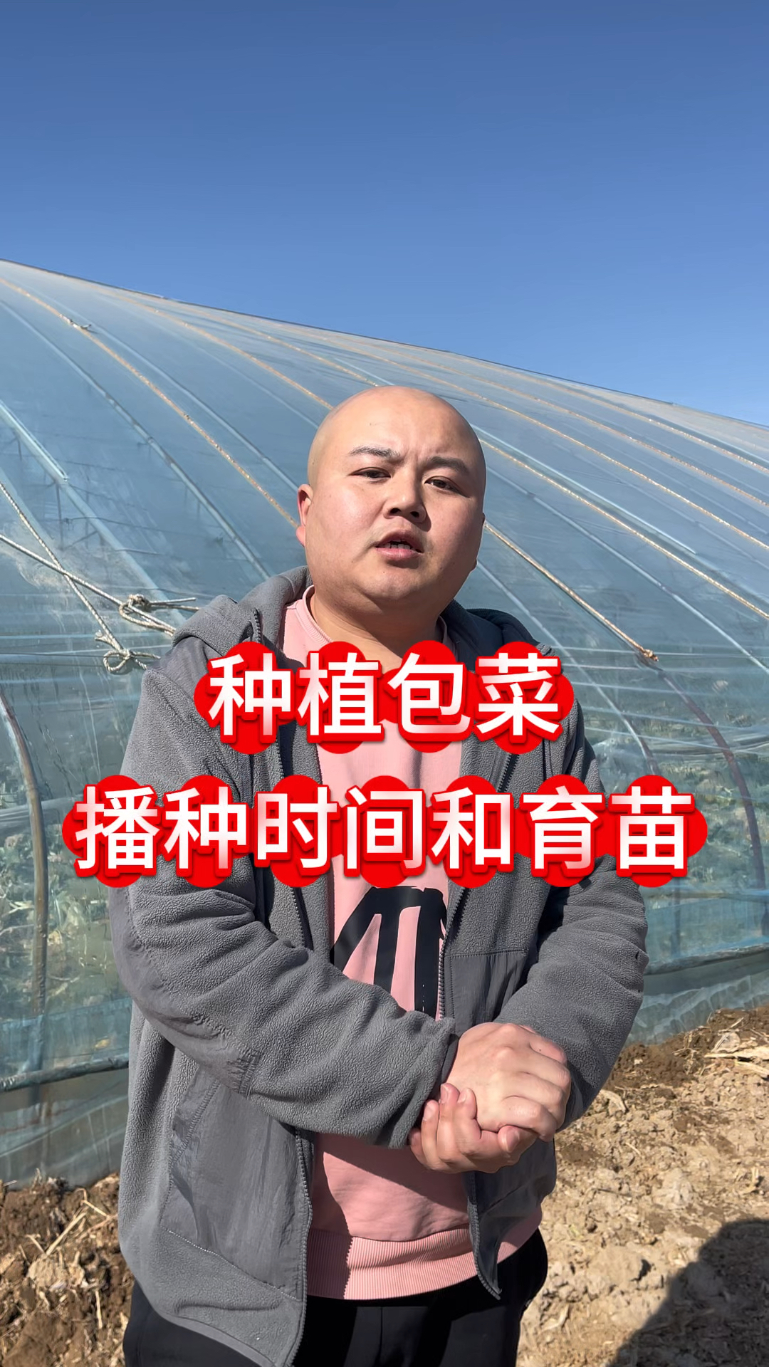种植包菜播种时间和育苗