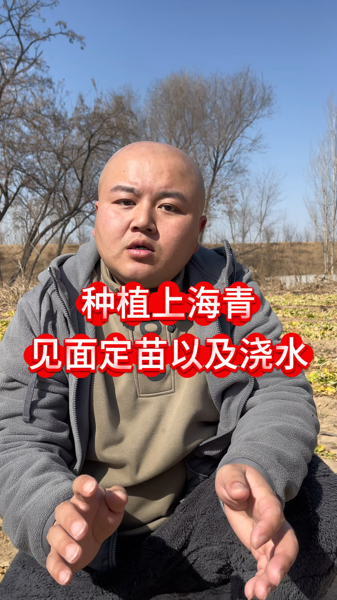 种植上海青见苗定苗以及浇水