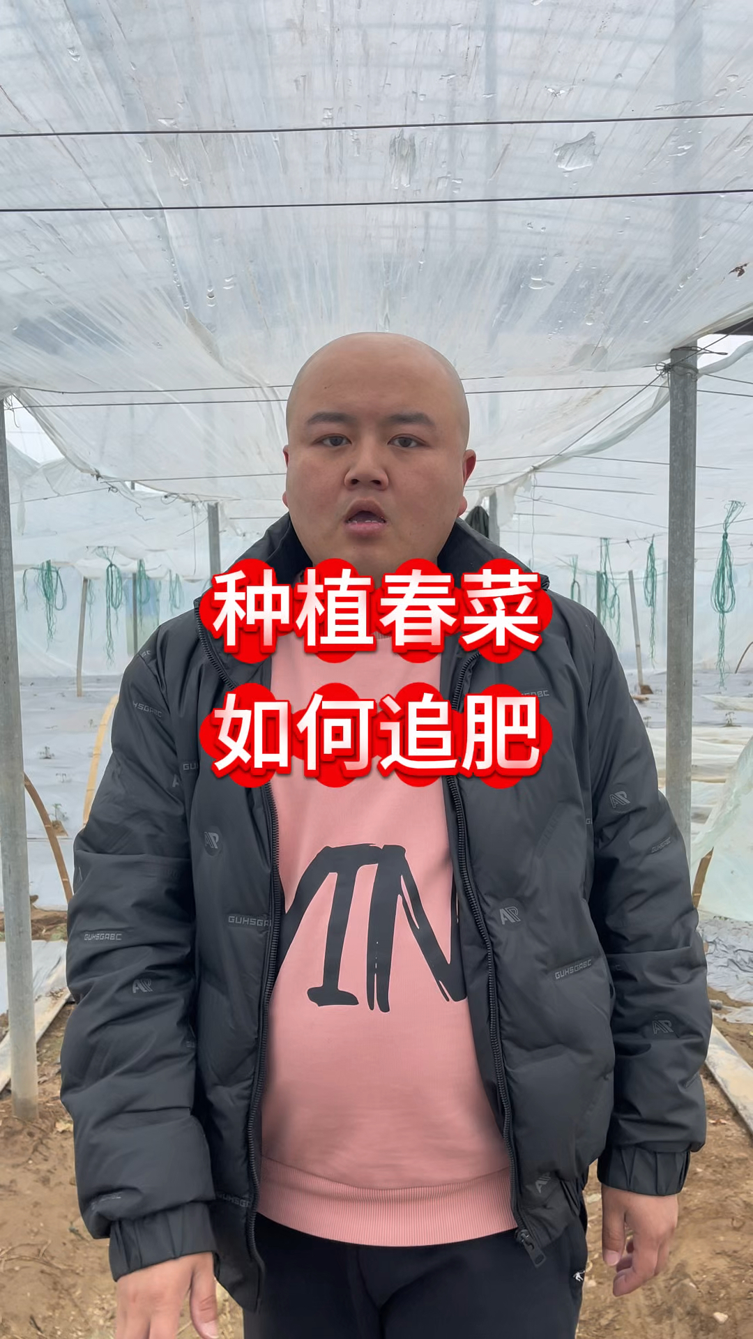 种植春菜如何追肥