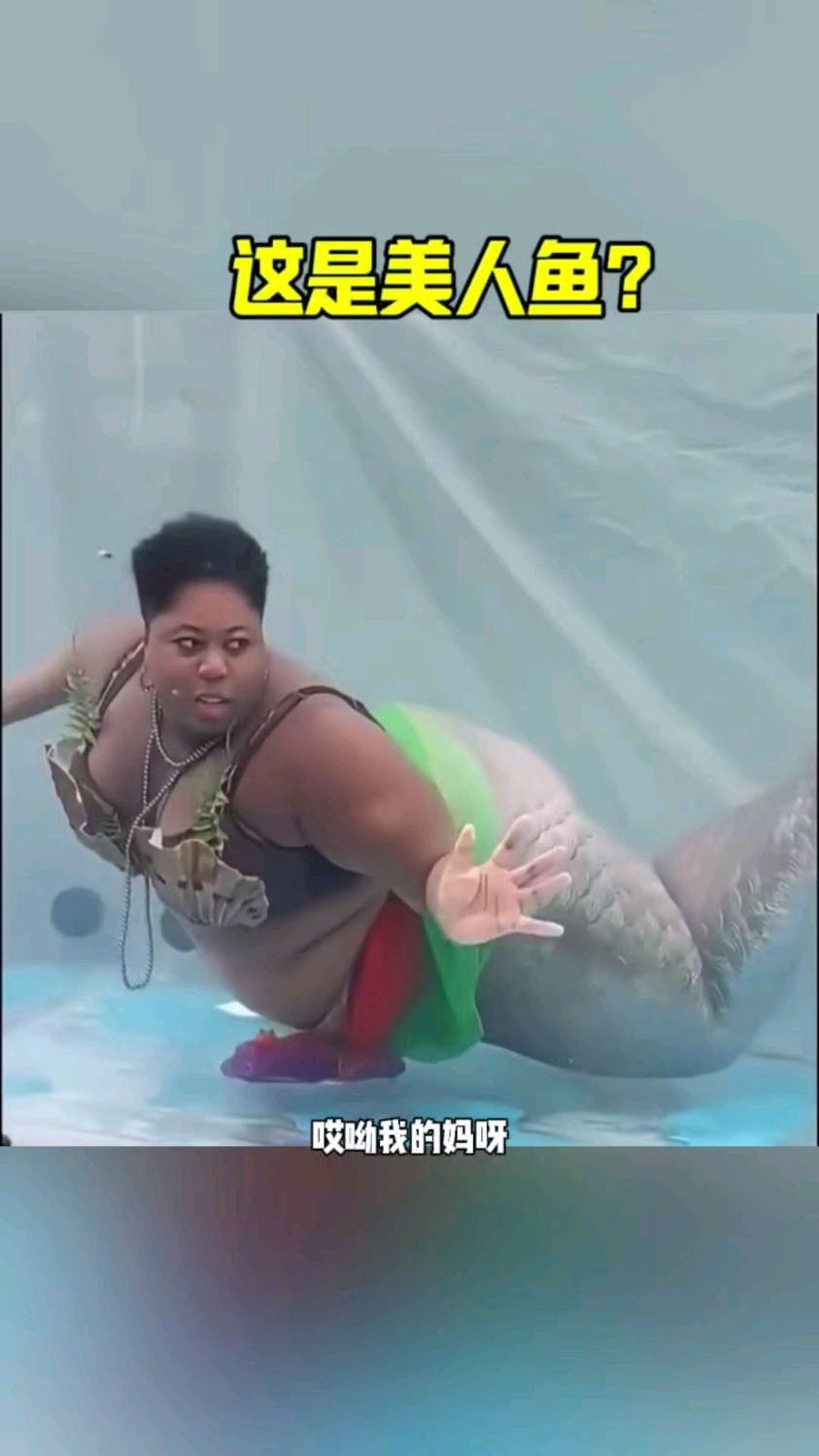 这也叫美人鱼啊,这是妖精吧!