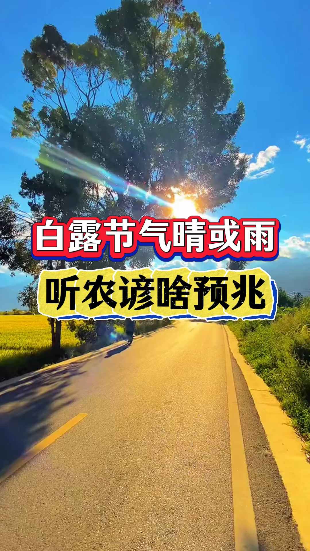 白露节气晴或雨,听农谚啥预兆?