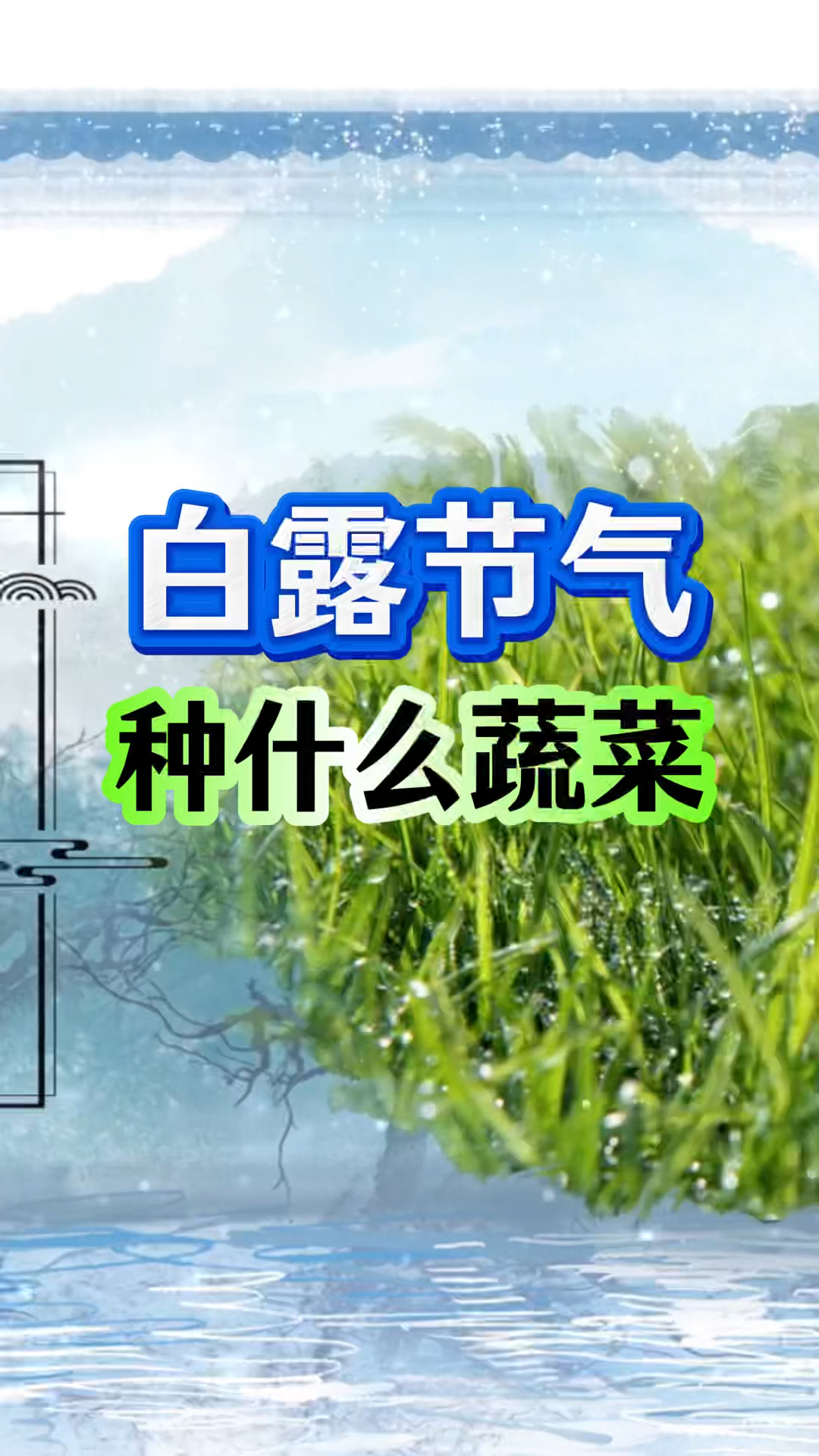 白露节气,种什么蔬菜?