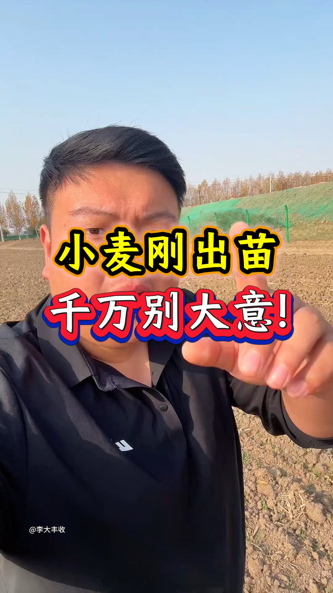 小麦刚出苗，千万别大意！
