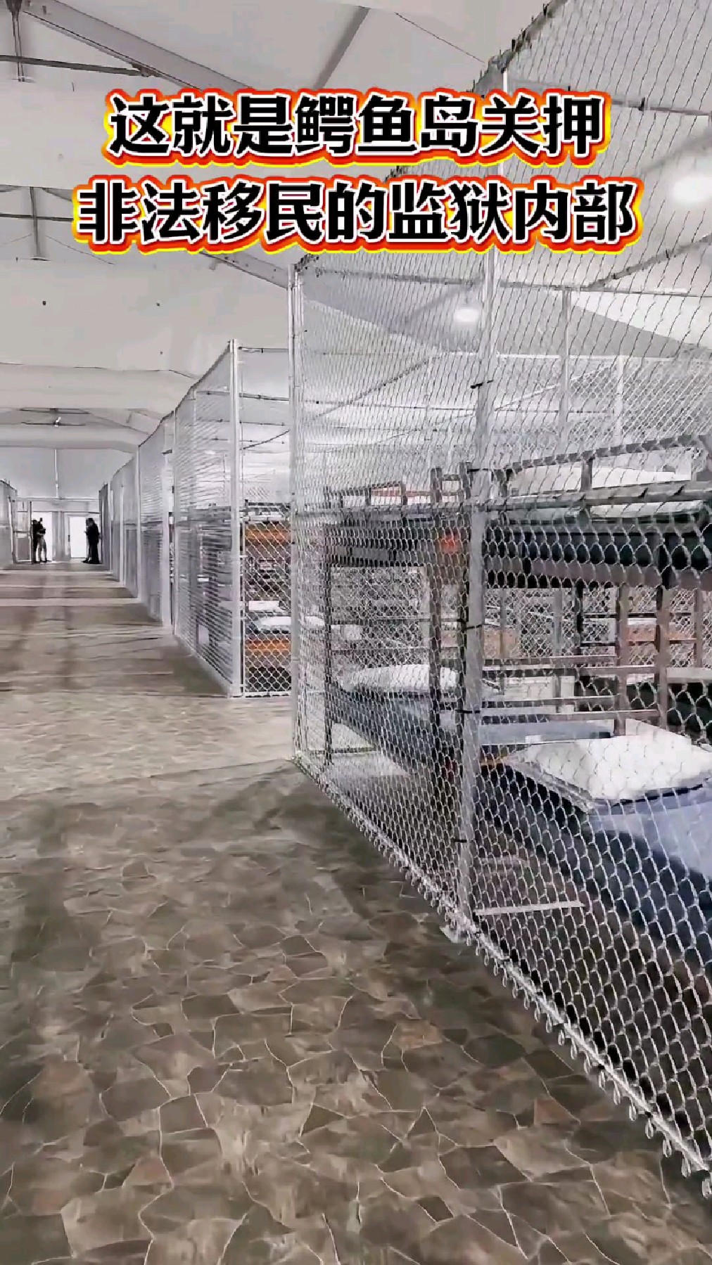 这是鳄鱼岛监狱关押非法移民,内部曝光