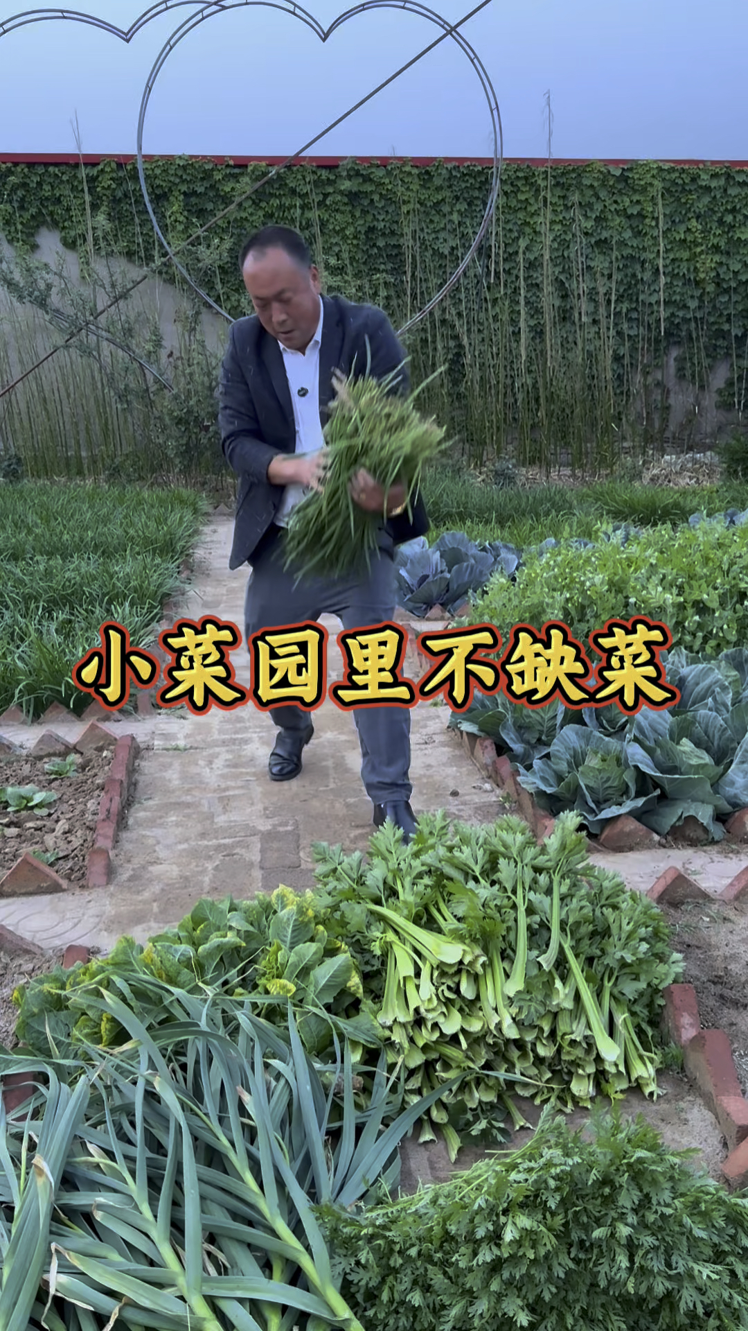 有播种就有收获,小菜园里不缺菜! #春耕农技知识