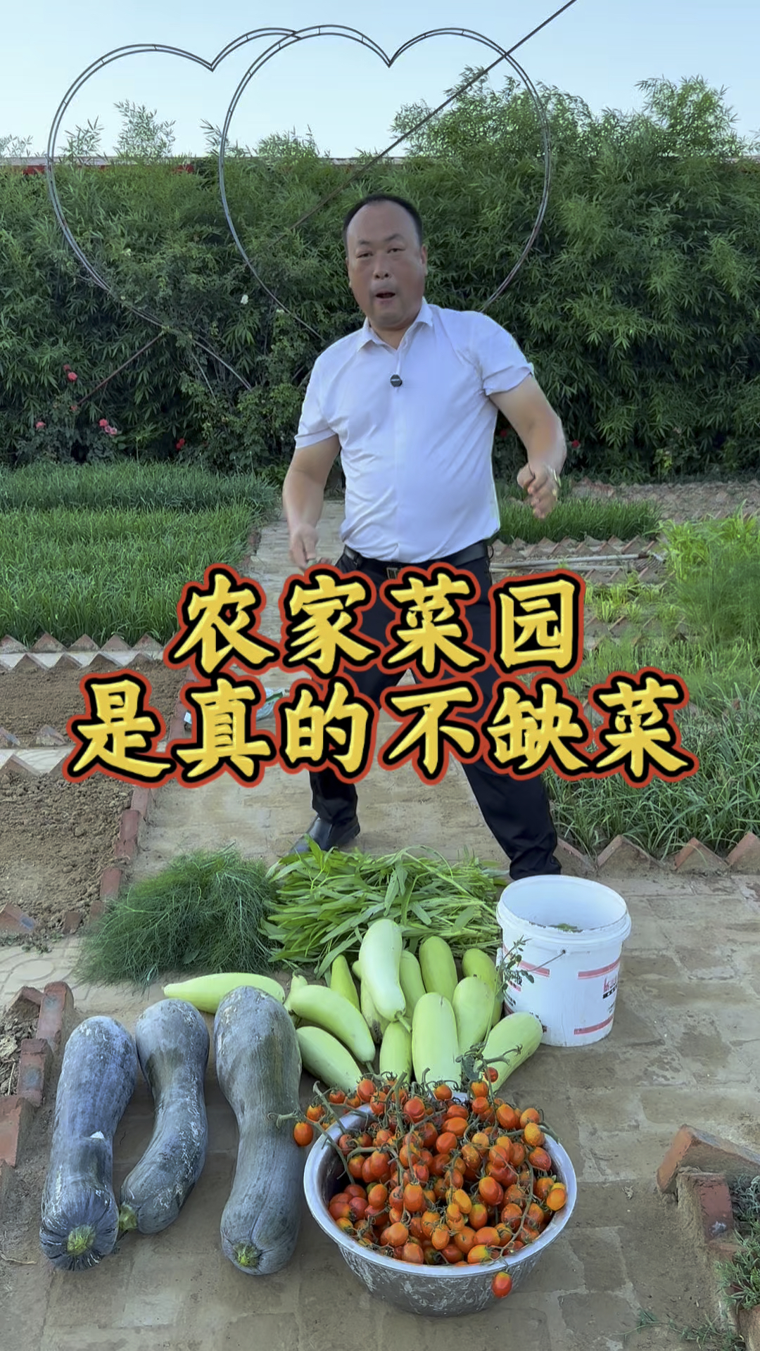 农家菜园不缺菜，吃不完根本吃不完！ #田园生活