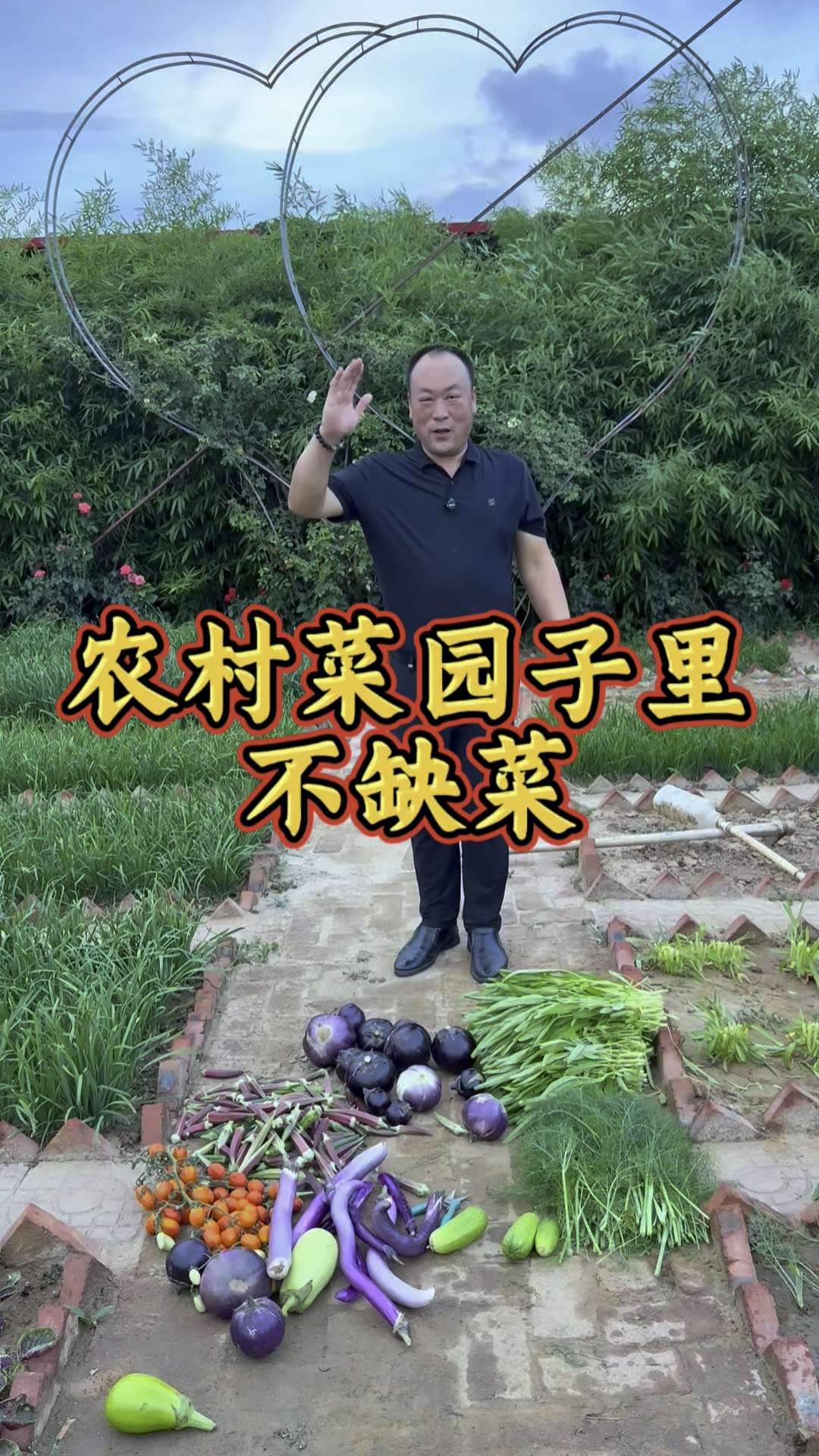 农家小菜园里不缺菜，吃不完根本吃不完！ #在家种菜 #村里的希望