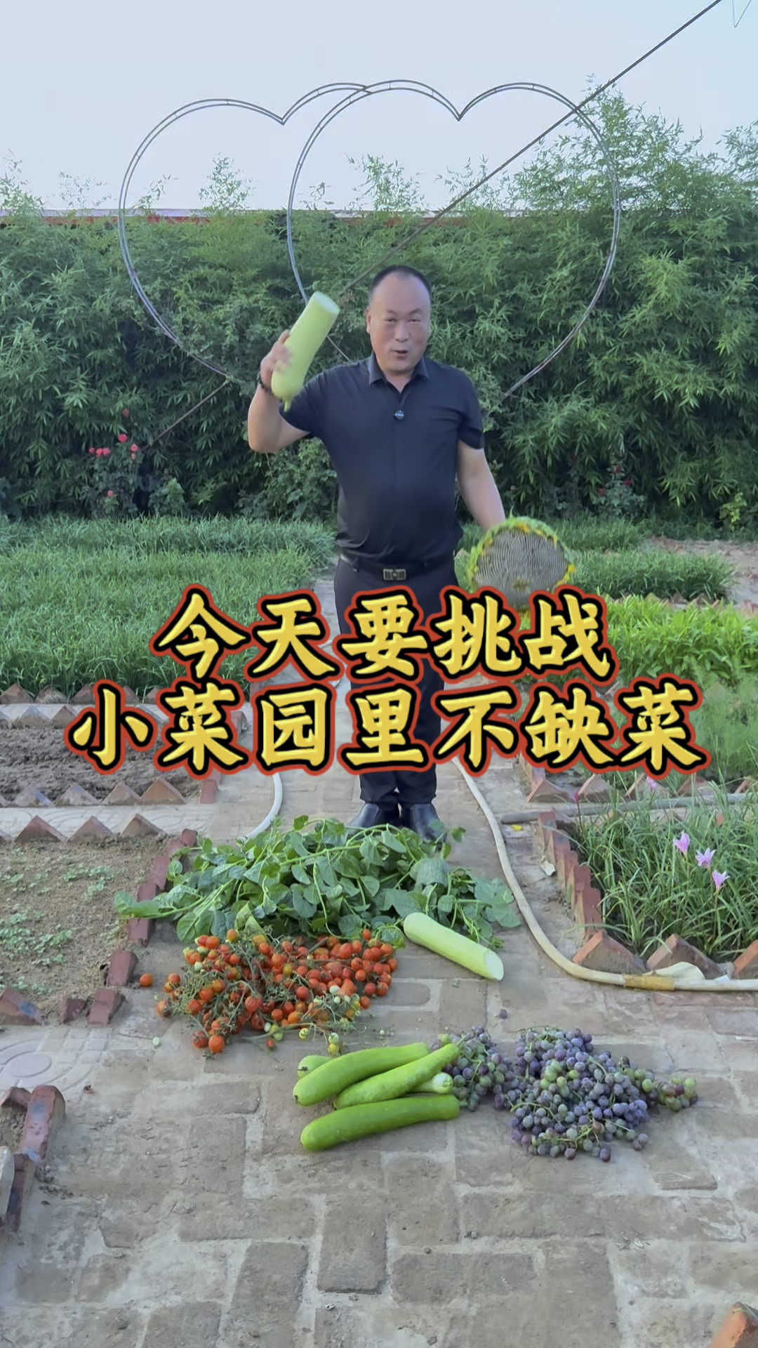 今天挑战小菜园里不缺菜,吃不完根本吃不完! #我的小菜园