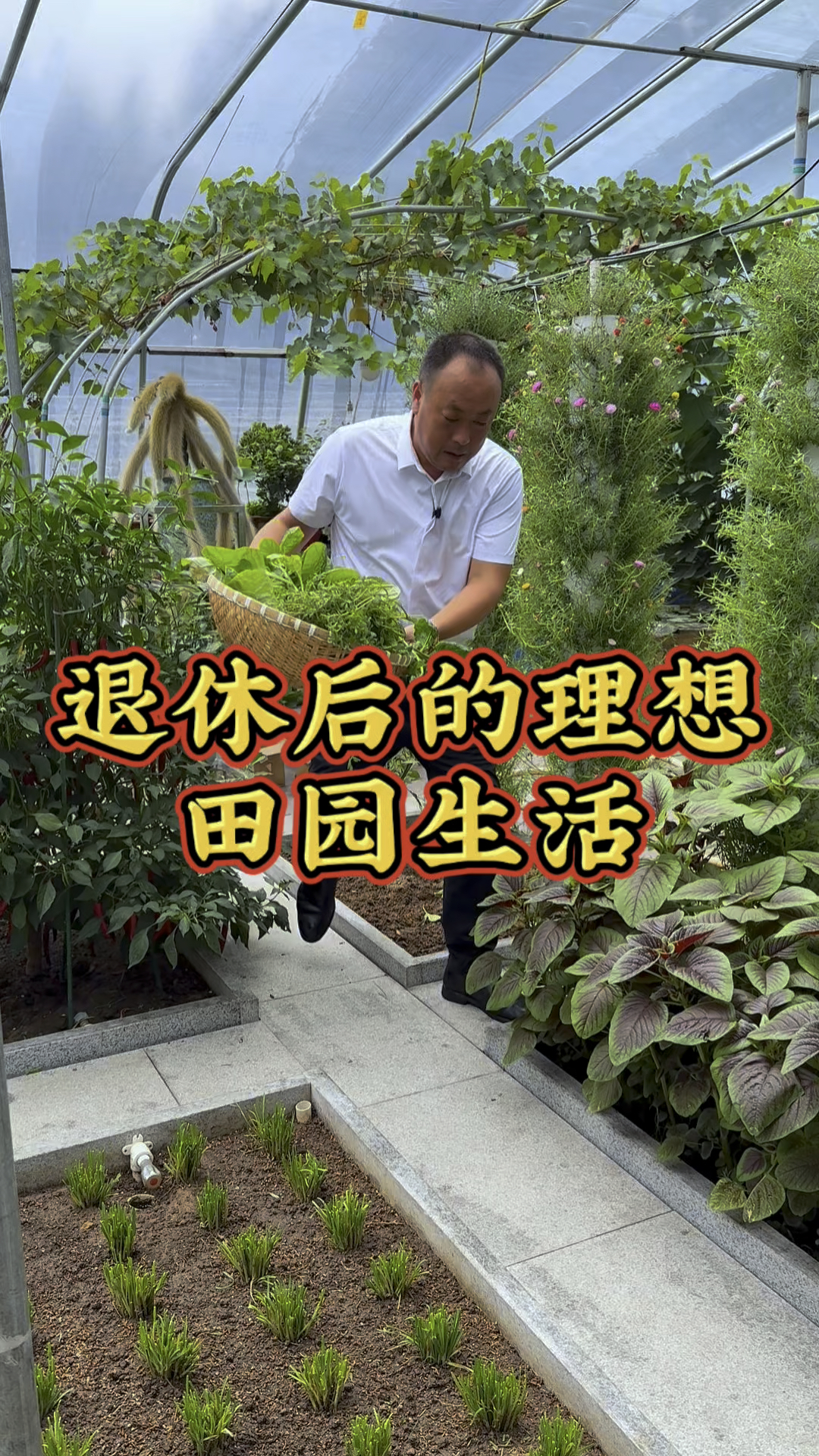 退休后回农村建个小菜园，过这样的田园生活你喜欢吗？