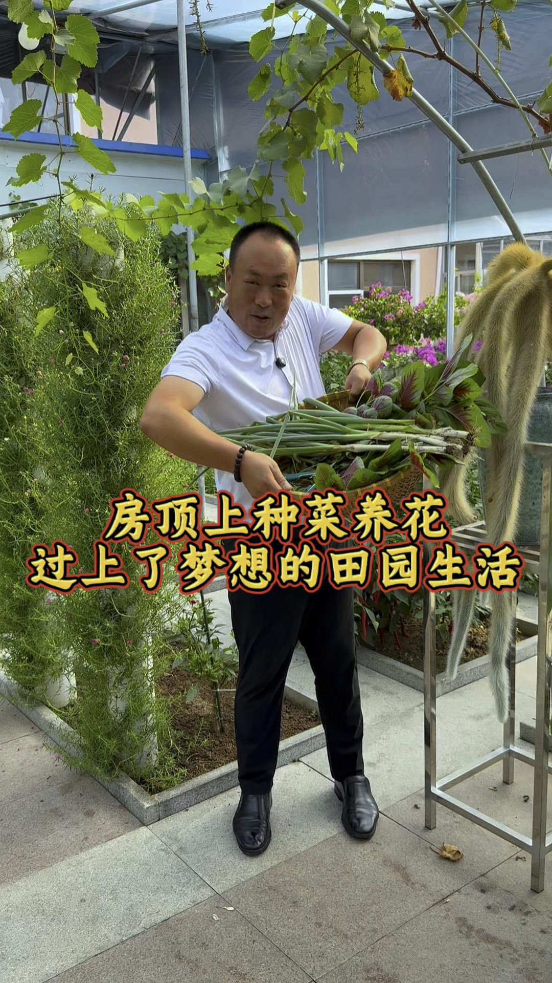 房顶上种菜园子,过上了田园生活! #我的小菜园 #助农帮帮团