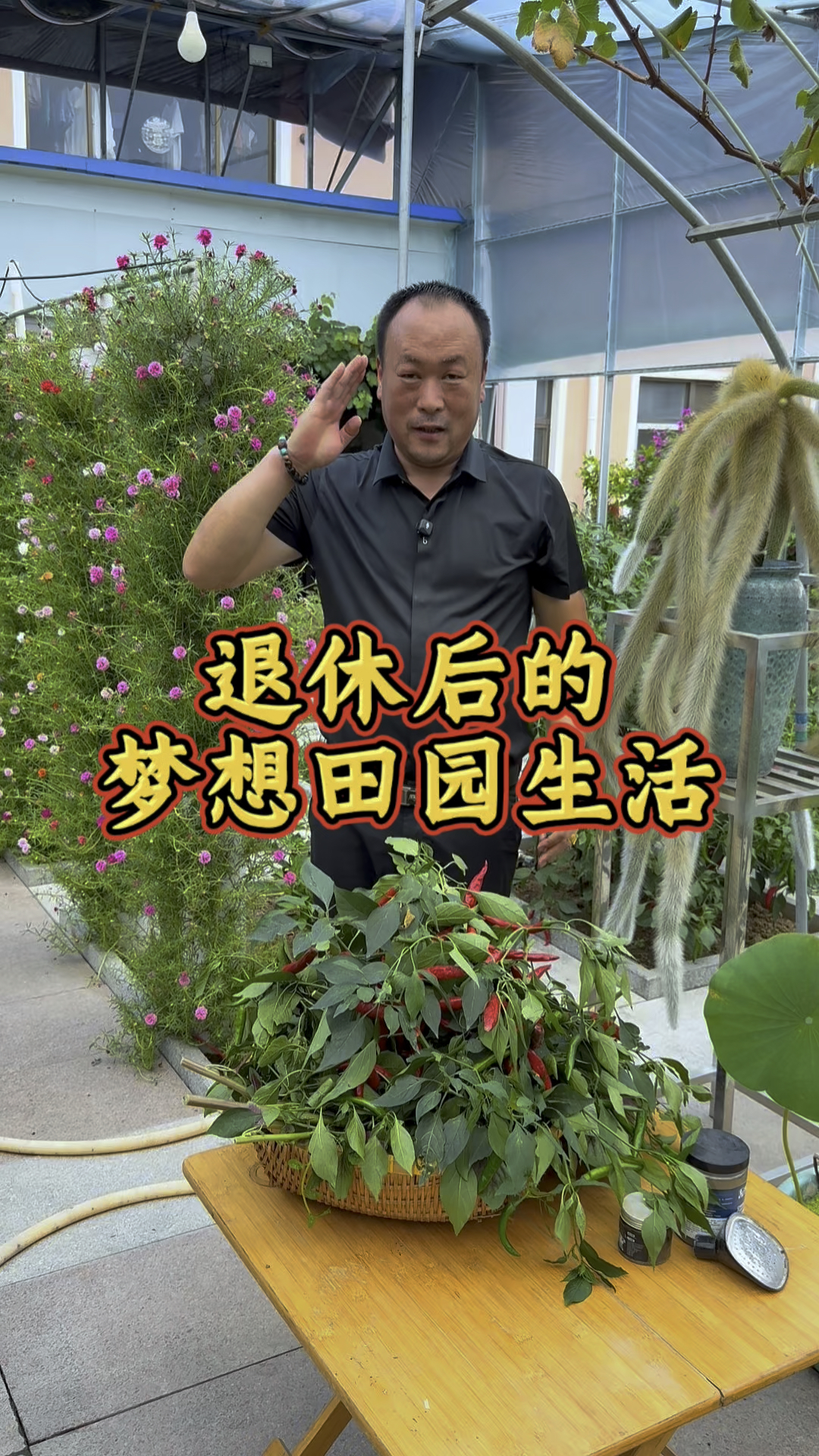 退休后回农村,改造个小菜园,自娱自乐的田园生活你们喜欢吗?