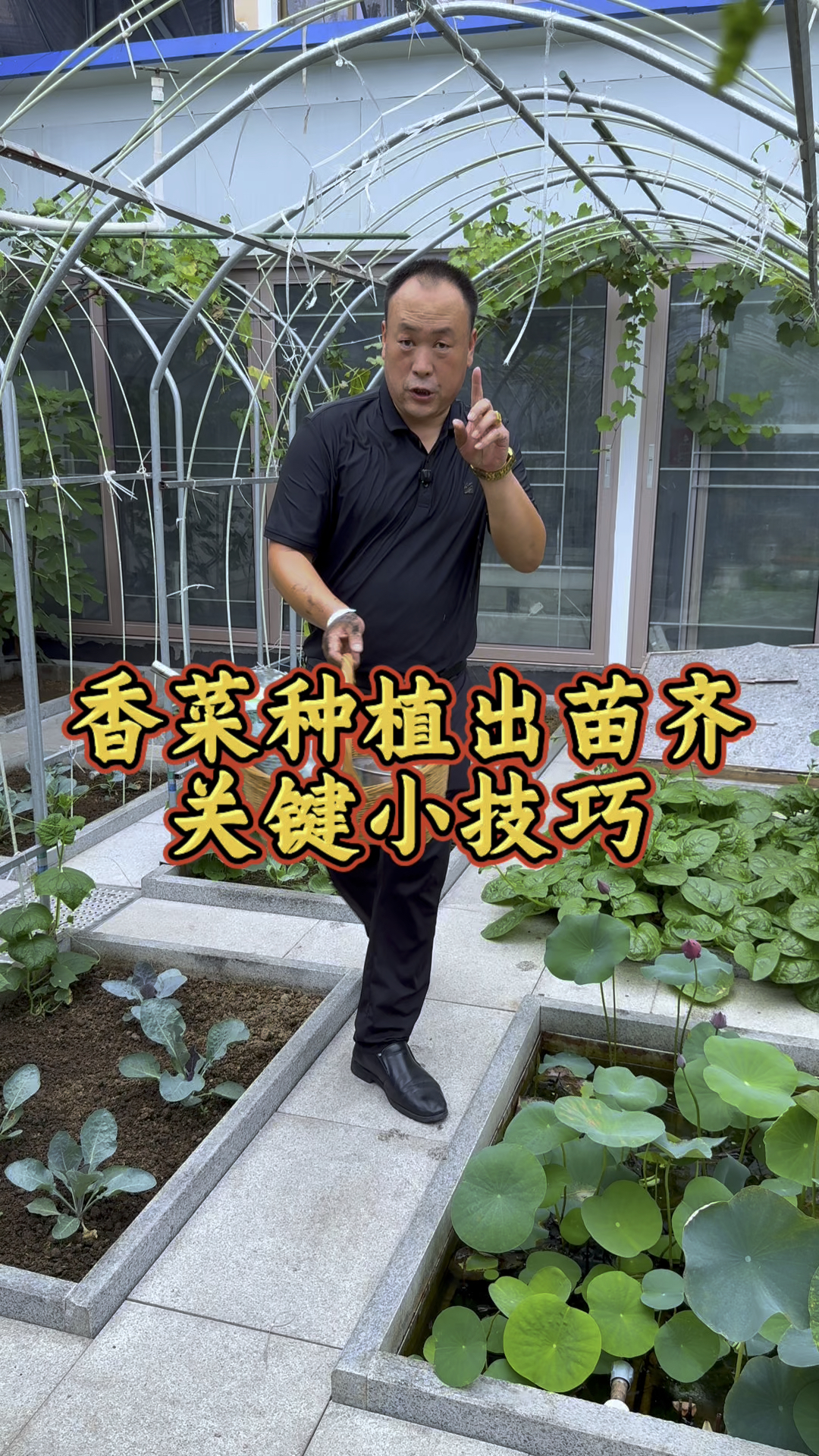 又到了种香菜的最佳时节了,要想香菜出苗齐出苗快,注意以下几