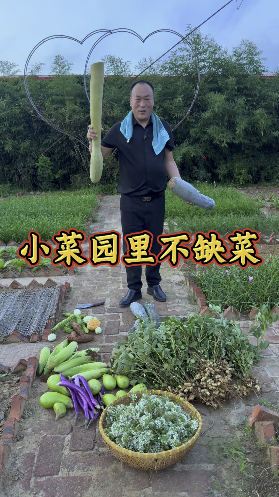 小菜园里不缺菜,吃不完根本吃不完! #农家小菜园 #幸福乡村丰收