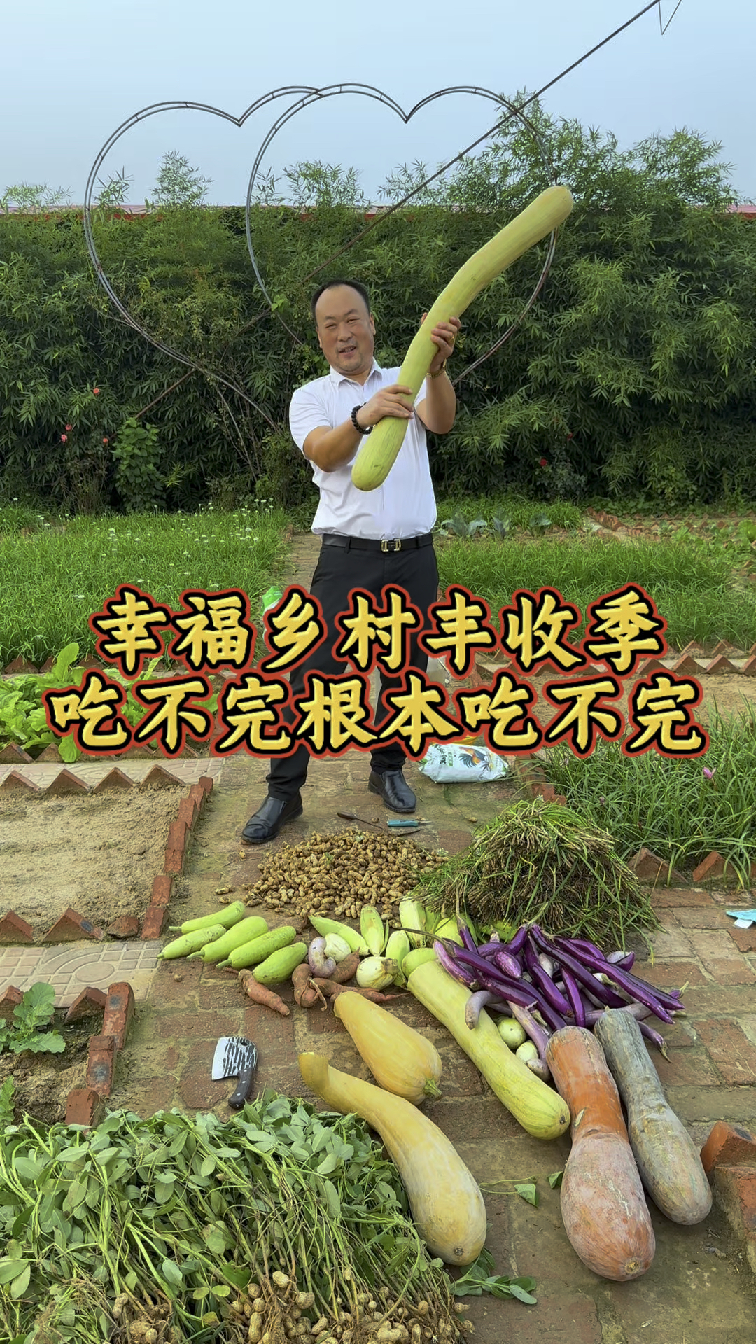 小菜园里不缺菜,各种小菜种的真齐全,吃不完根本吃不完!