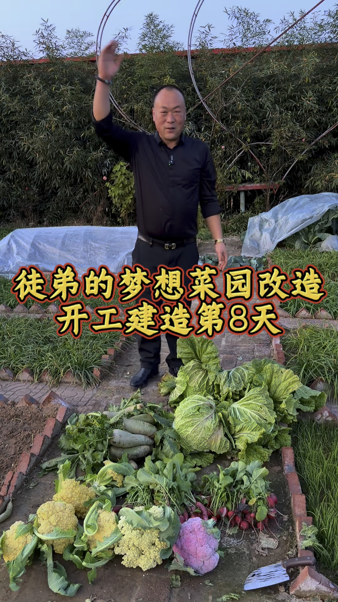 徒弟的梦想菜园开工建造第8天了,后期怎样改造,视频持续更新!