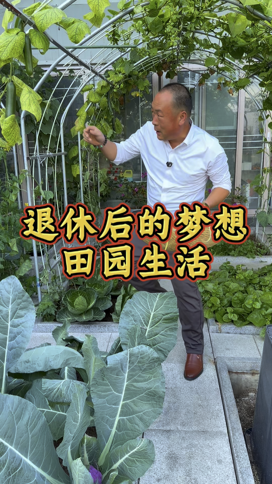 冬天到了，有这么个绿色小菜园，继续过田园生活你们喜欢吗？