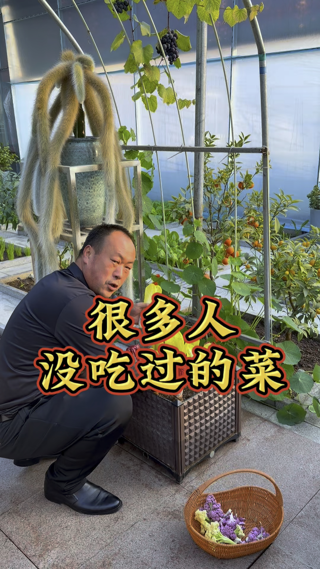 谁能拒绝冬日里拥有这样的菜园子！ #我的猫冬日常 #我为家乡代言