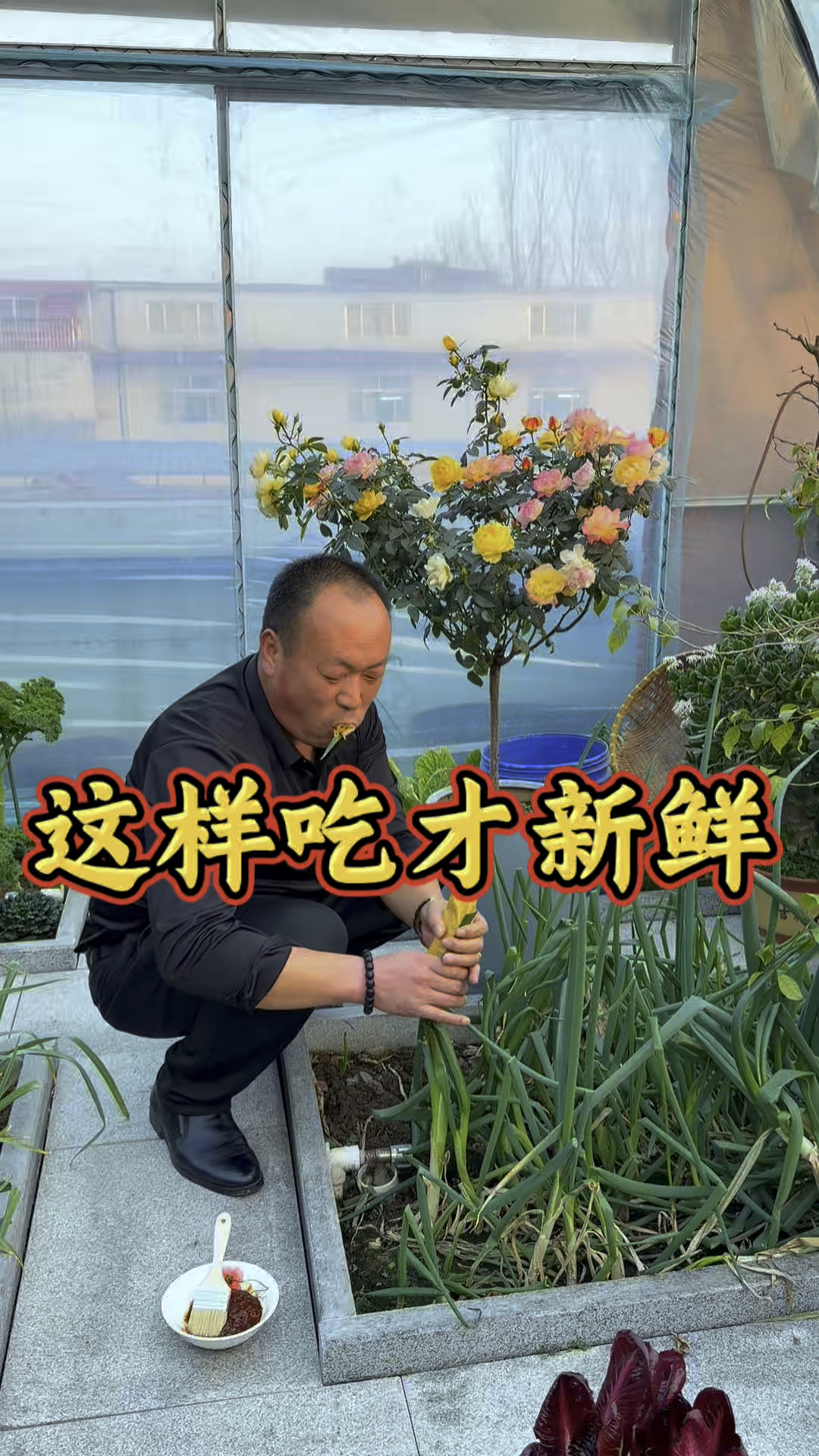 山东特色,大葱蘸酱卷煎饼,鲜到脚后跟! #助农帮帮团 #