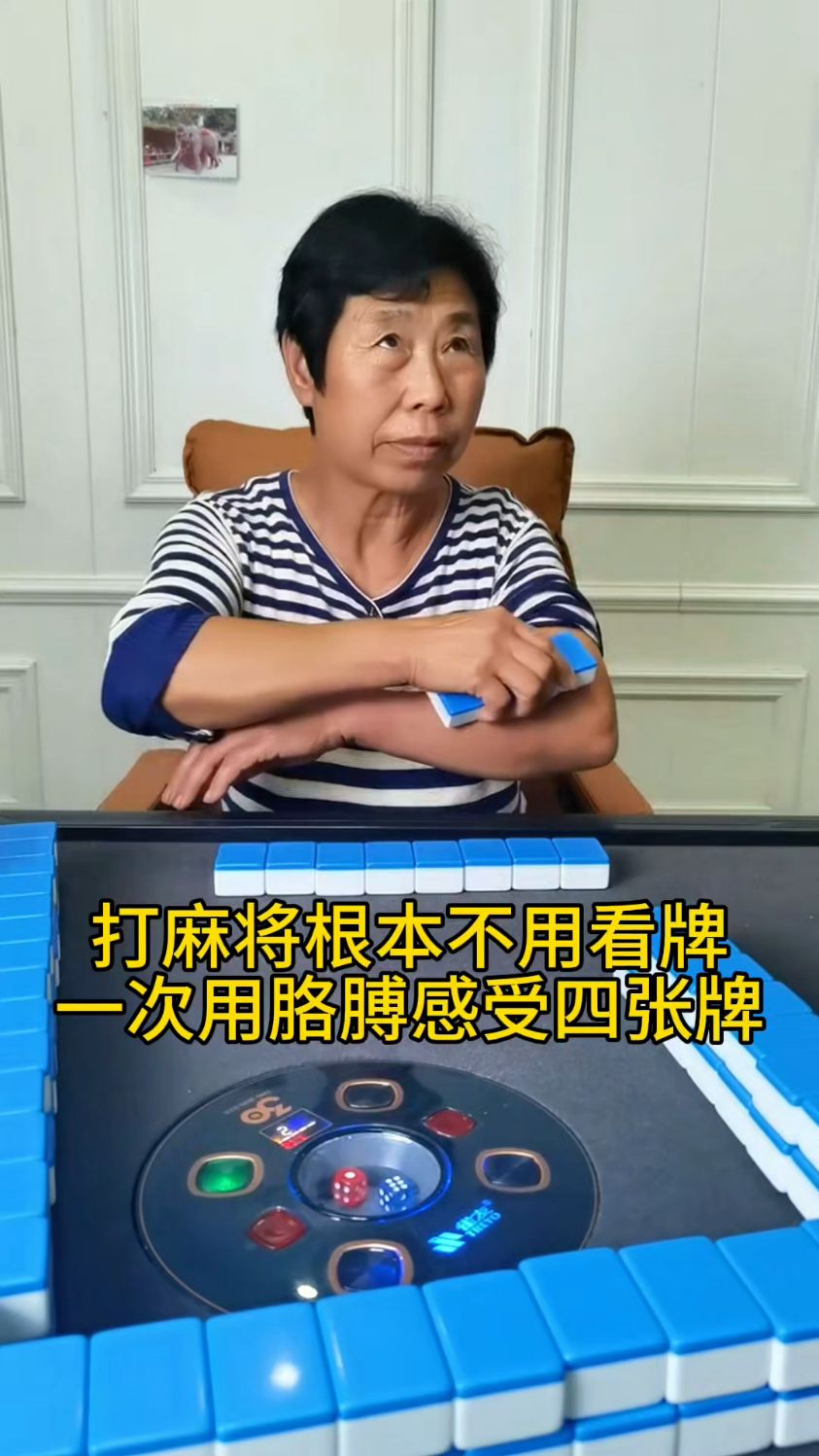 打麻将的高手,真是佩服