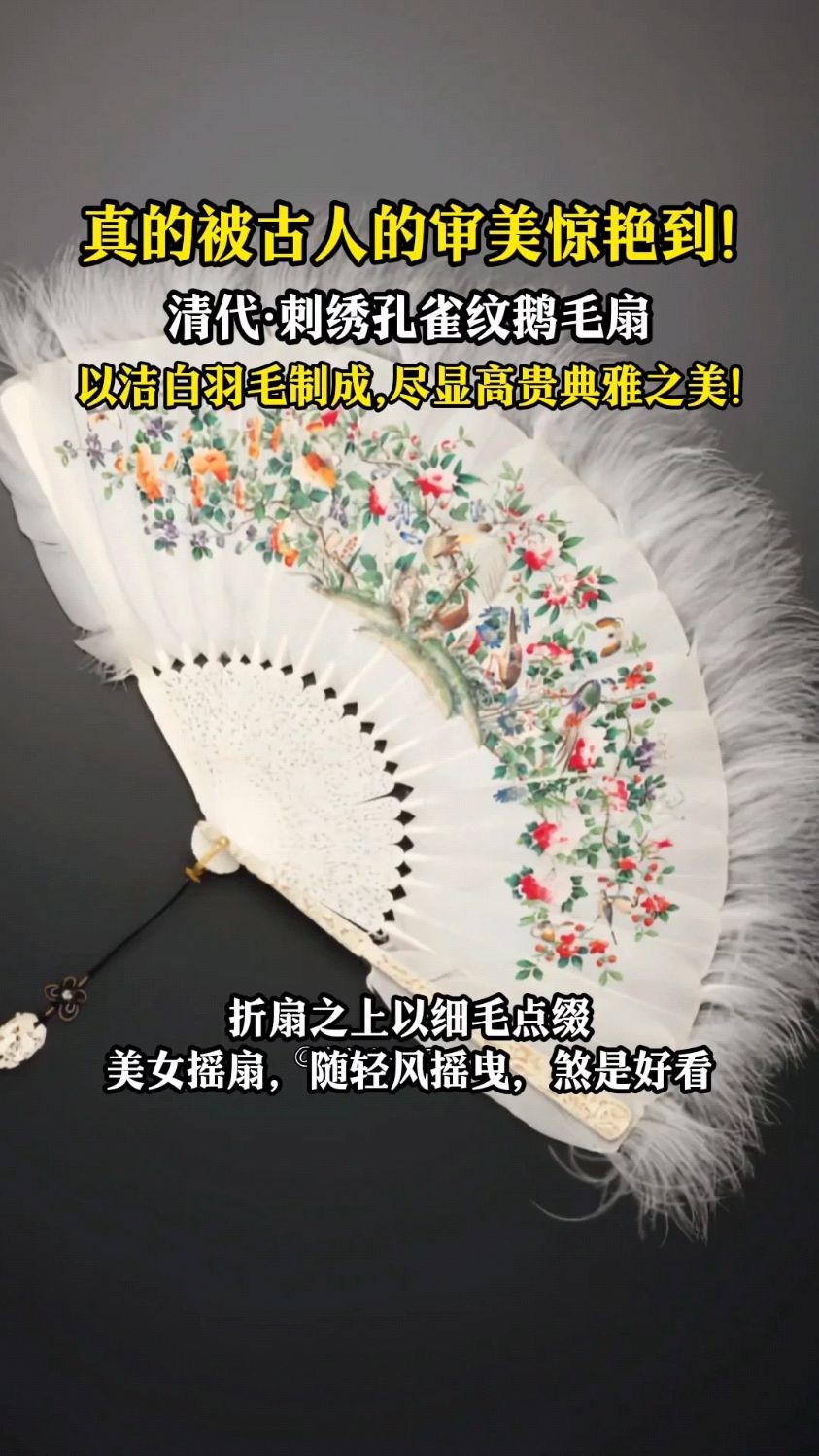真的被古人的审美惊艳到!清朝鹅毛扇,尽显高贵典雅之美!
