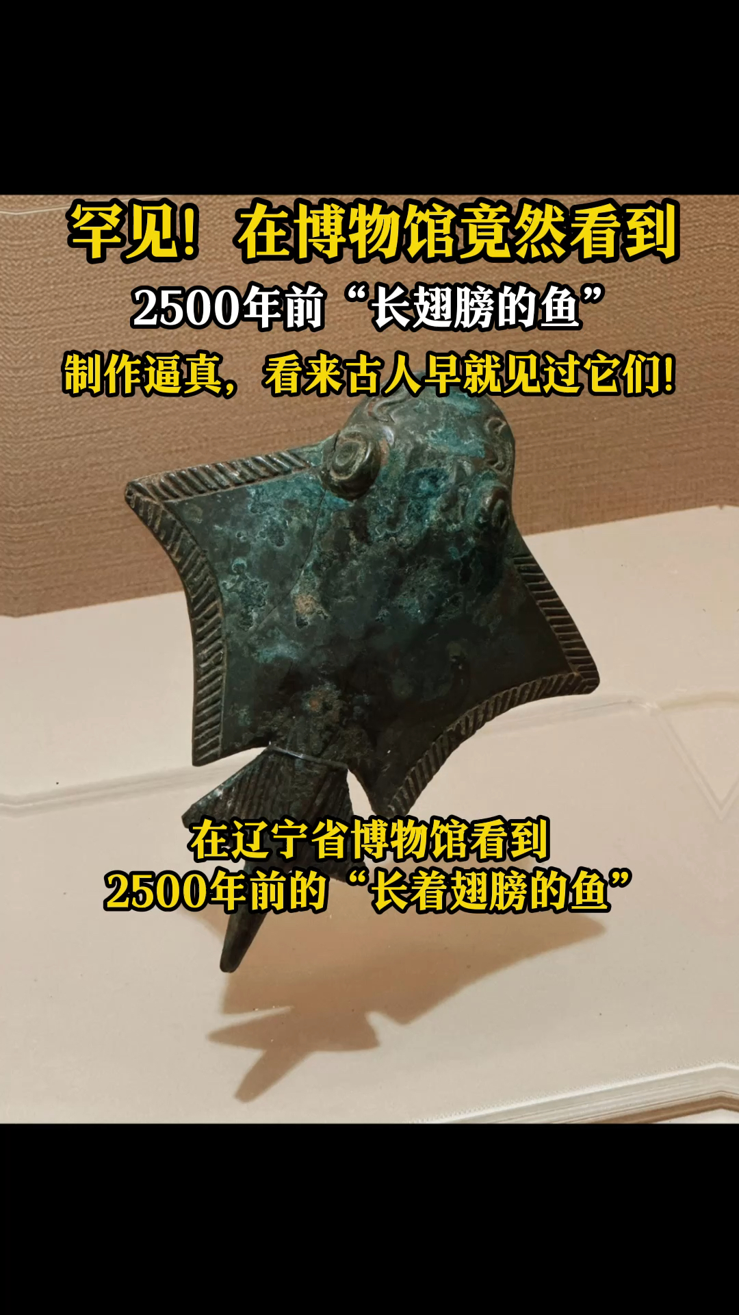 罕见!在博物馆看到2500年前“长着翅膀的鱼”,制作逼真