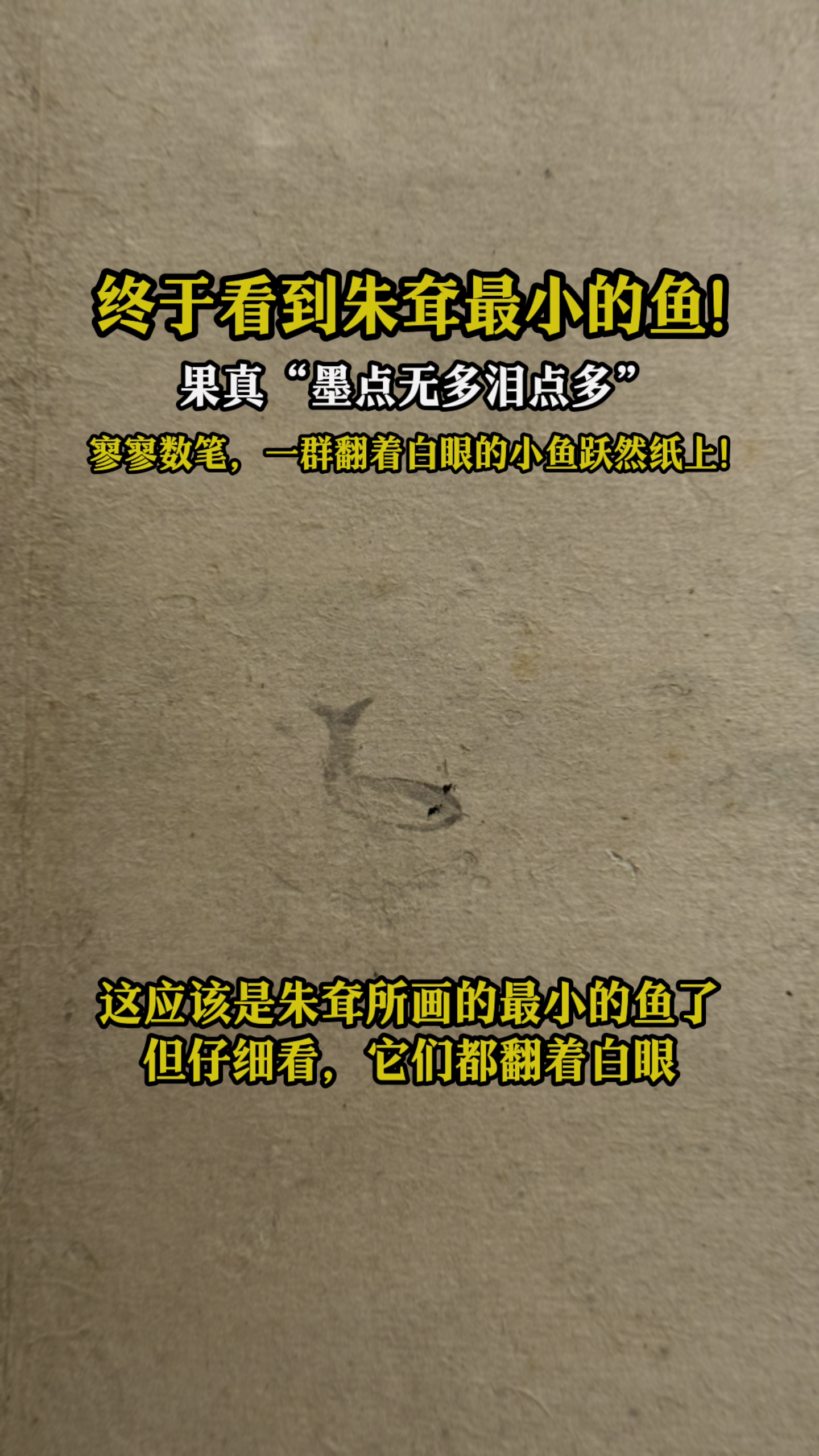 终于看到朱耷最小的鱼,寥寥数笔,一群翻着白眼的小鱼跃然纸上