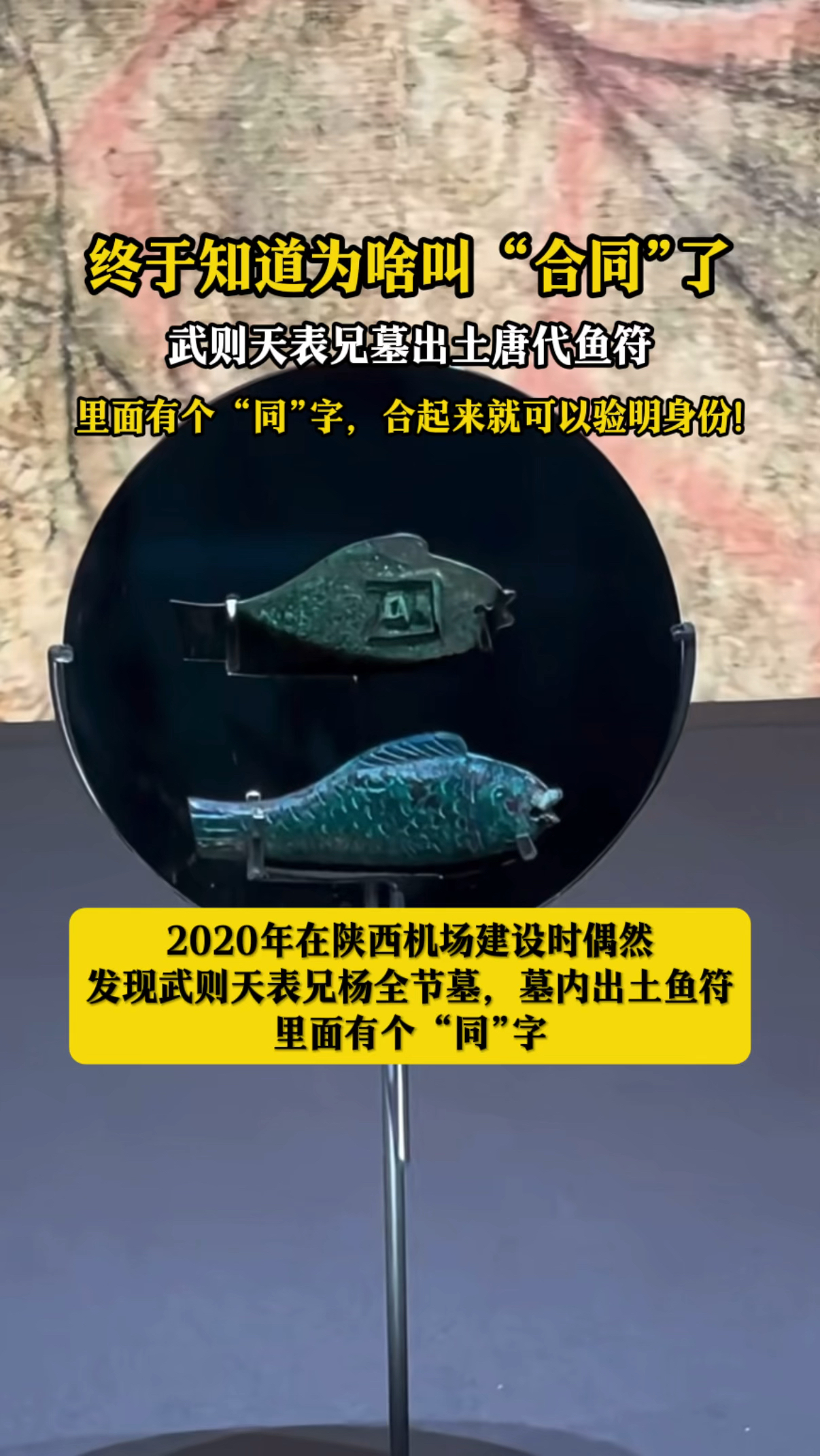 终于知道为啥叫“合同”,武则天表兄墓出土鱼符,里面有个同字