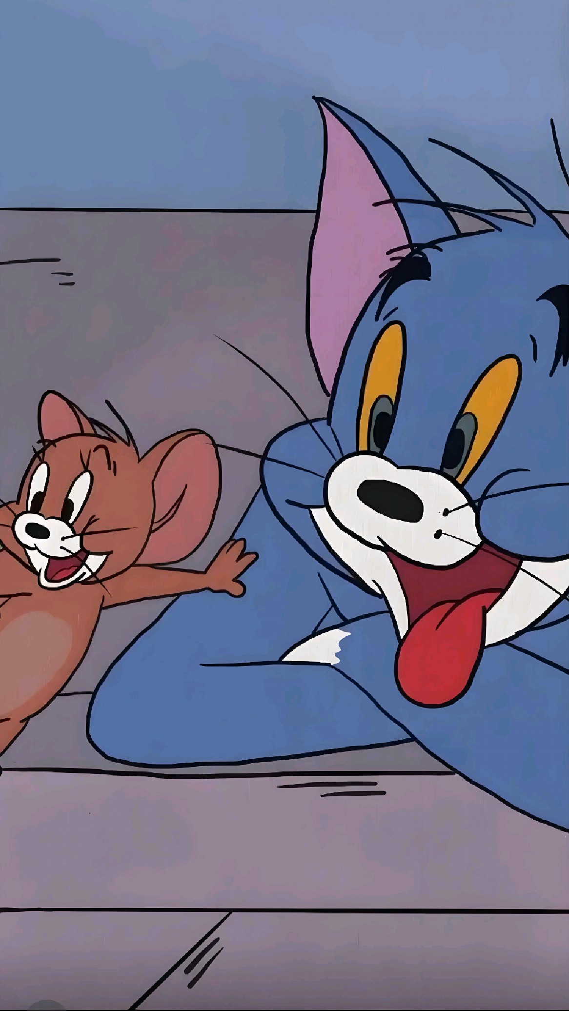汤姆猫:杰瑞坐稳扶好昂;杰瑞:太刺激啦!