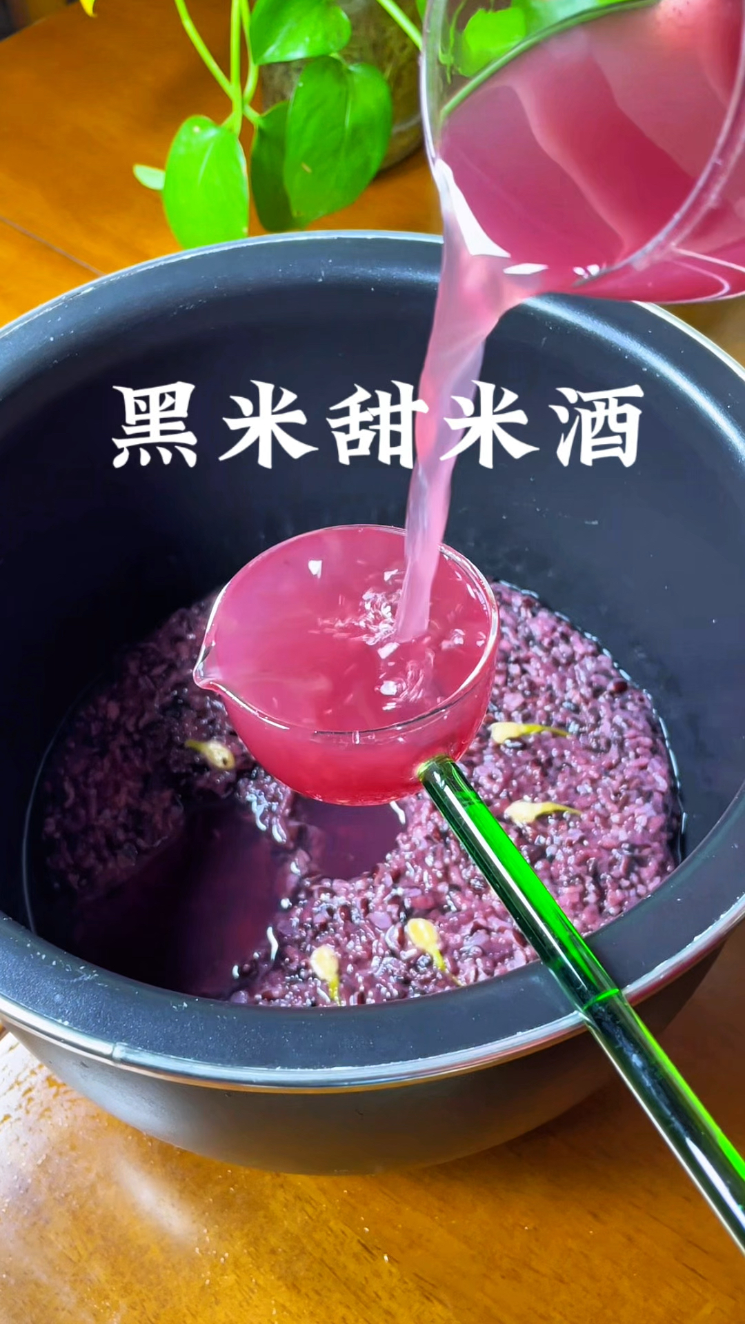 黑米酒酿的简单做法,有电饭锅就能做,清甜爽口满满的花青素