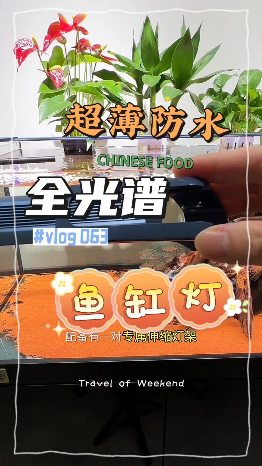 吉印鱼缸灯LED防水照明水族箱全光谱超亮支架小型专用节能增艳