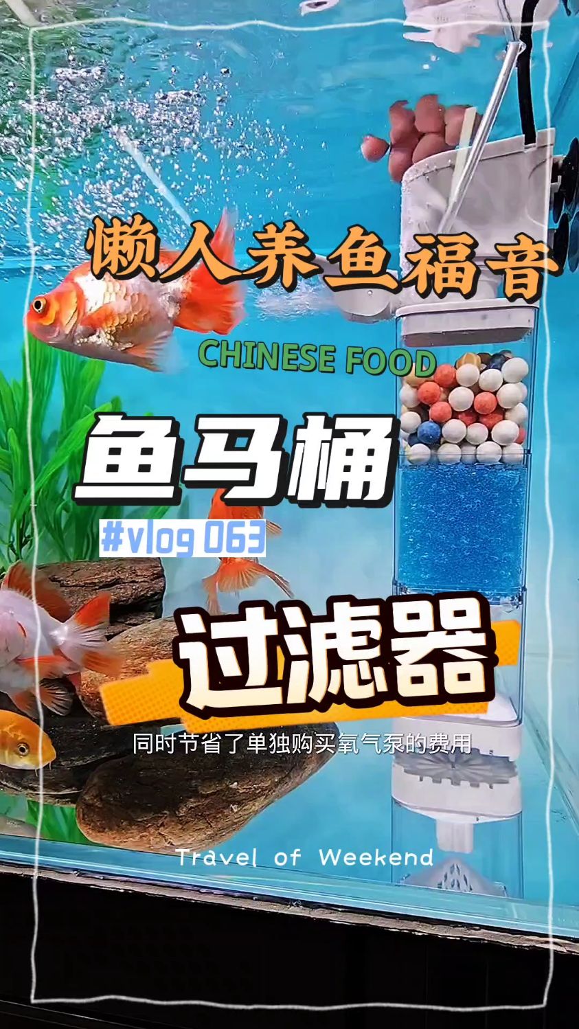 yee鱼缸过滤系统过滤器循环三合一内置小型鱼马桶吸便