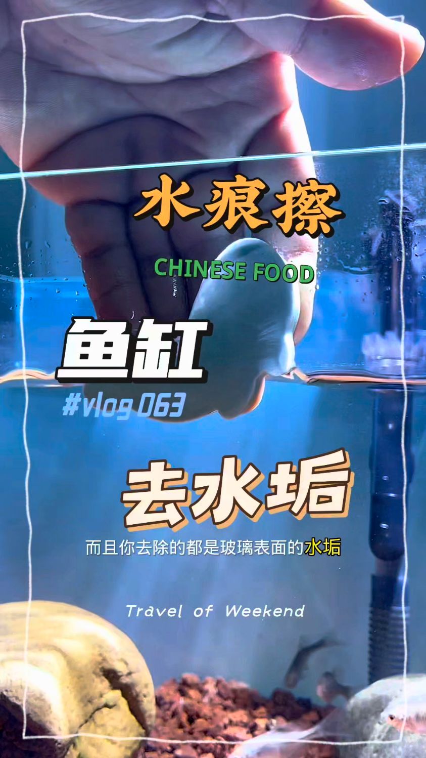 BESSN鱼缸擦玻璃清洁水垢神器擦鱼缸玻璃擦除藻清洗刷子