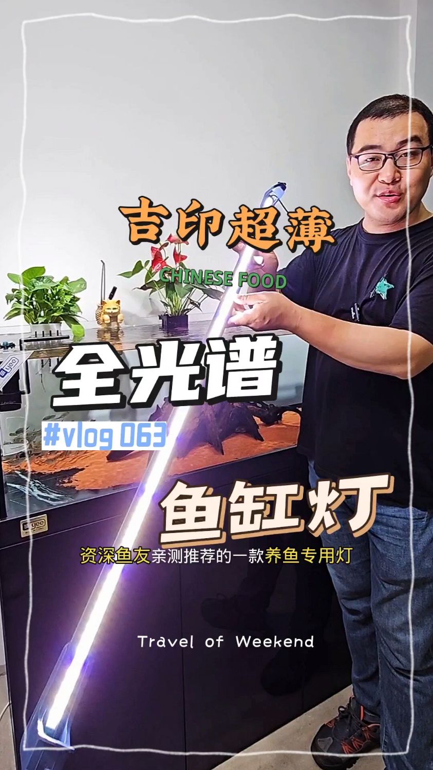 吉印鱼缸灯LED防水照明水族箱全光谱超亮支架小型专用