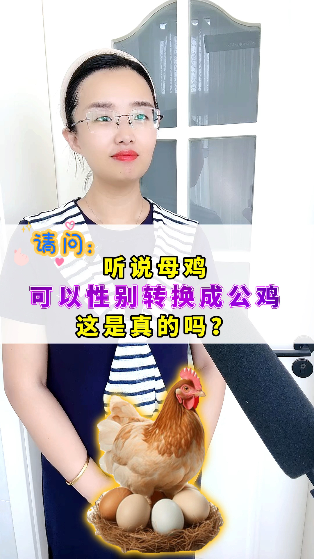 听说母鸡可以,性别转换成公鸡,这是真的吗?