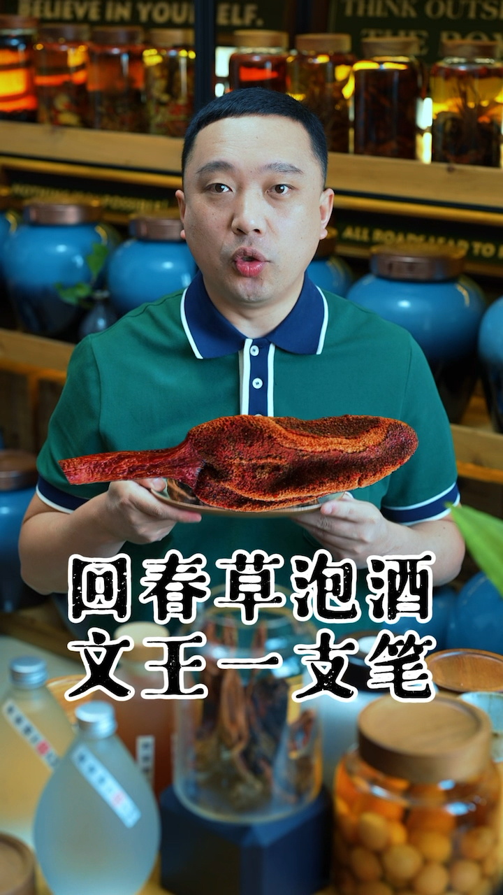 回春草泡酒,被称为文王一支笔,武王一杆枪!
