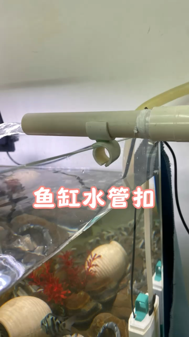 鱼缸水管扣#养鱼 #水族 #DIY #养鱼日记