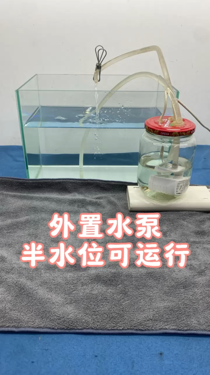 外置水泵半水位可运行#养鱼 #水族 #DIY