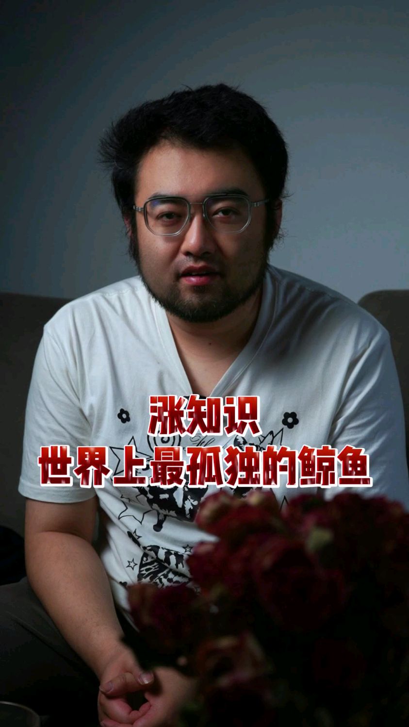 涨知识：世界上最孤独的鲸鱼，52赫兹 #震惊了 #冷知识 #科普