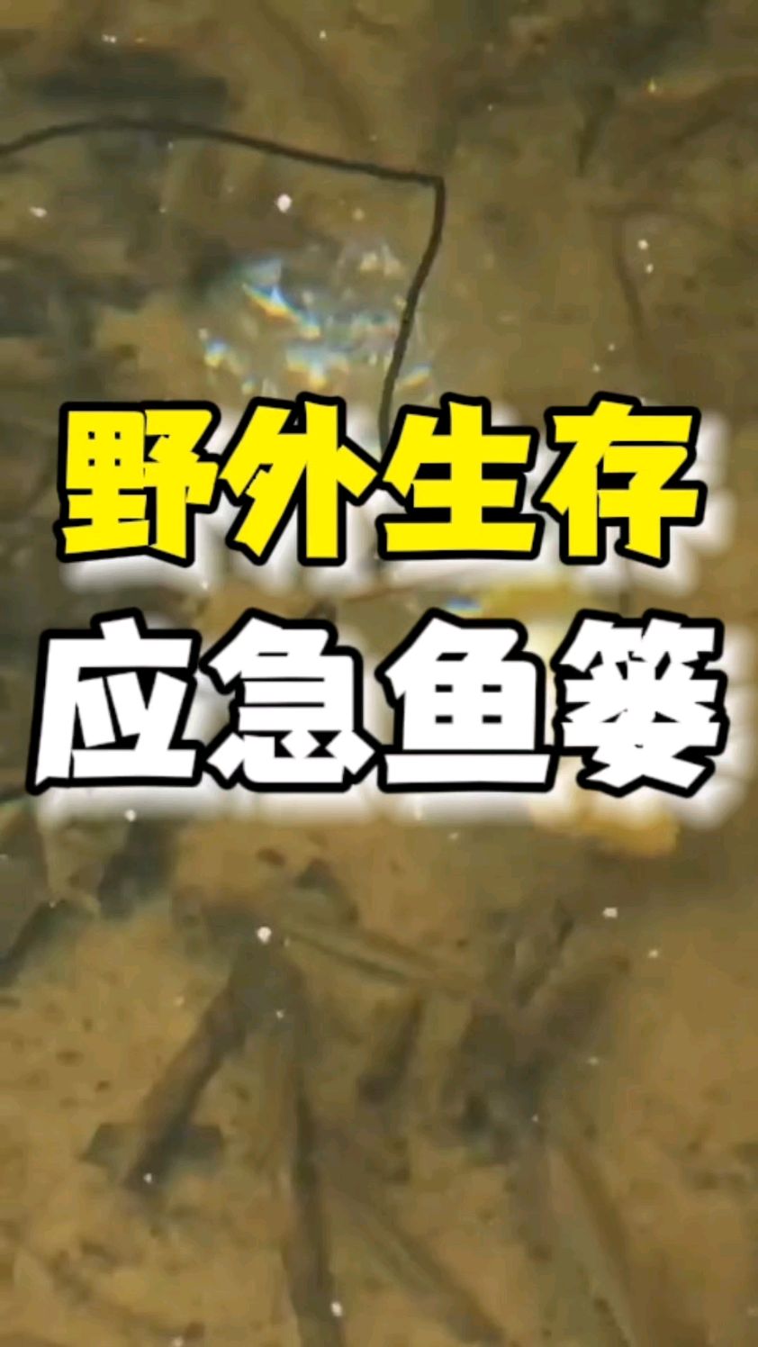 荒野求生应急鱼篓