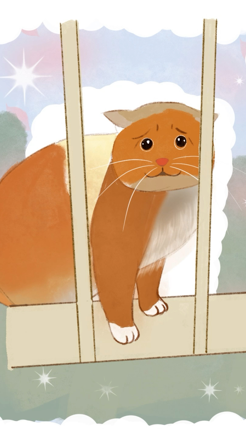 大橘猫上门乞讨,忘记切换表情包,下一秒尴尬了