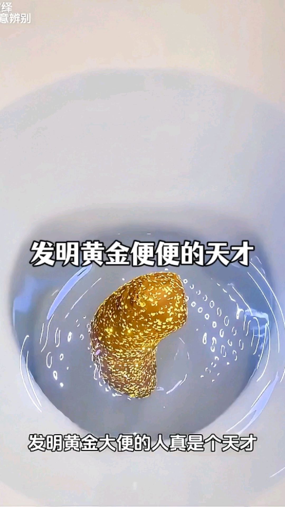 发明黄金便便的天才