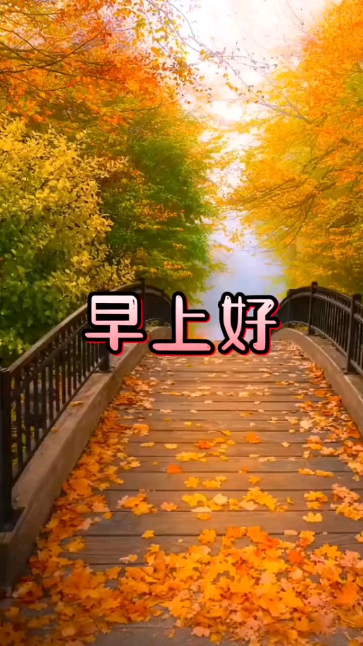 每日问候!早上好动态图视频分享