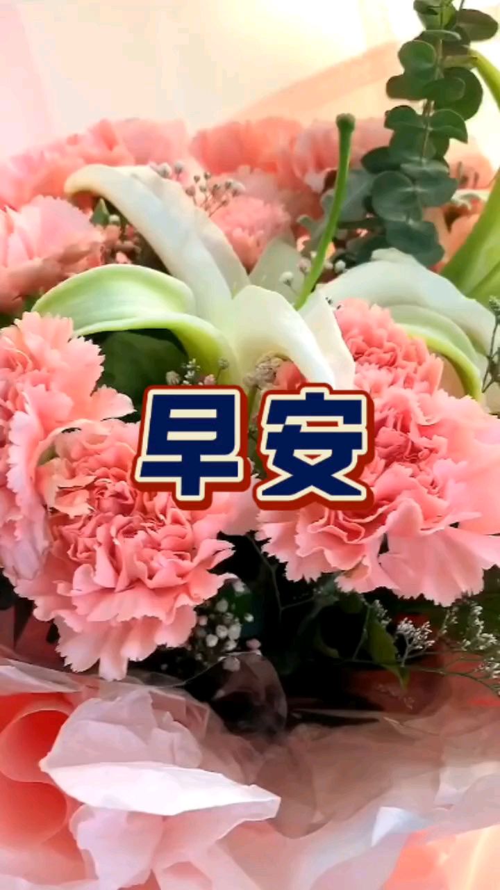 让每一天都充满快乐!早上好动态图视频分享