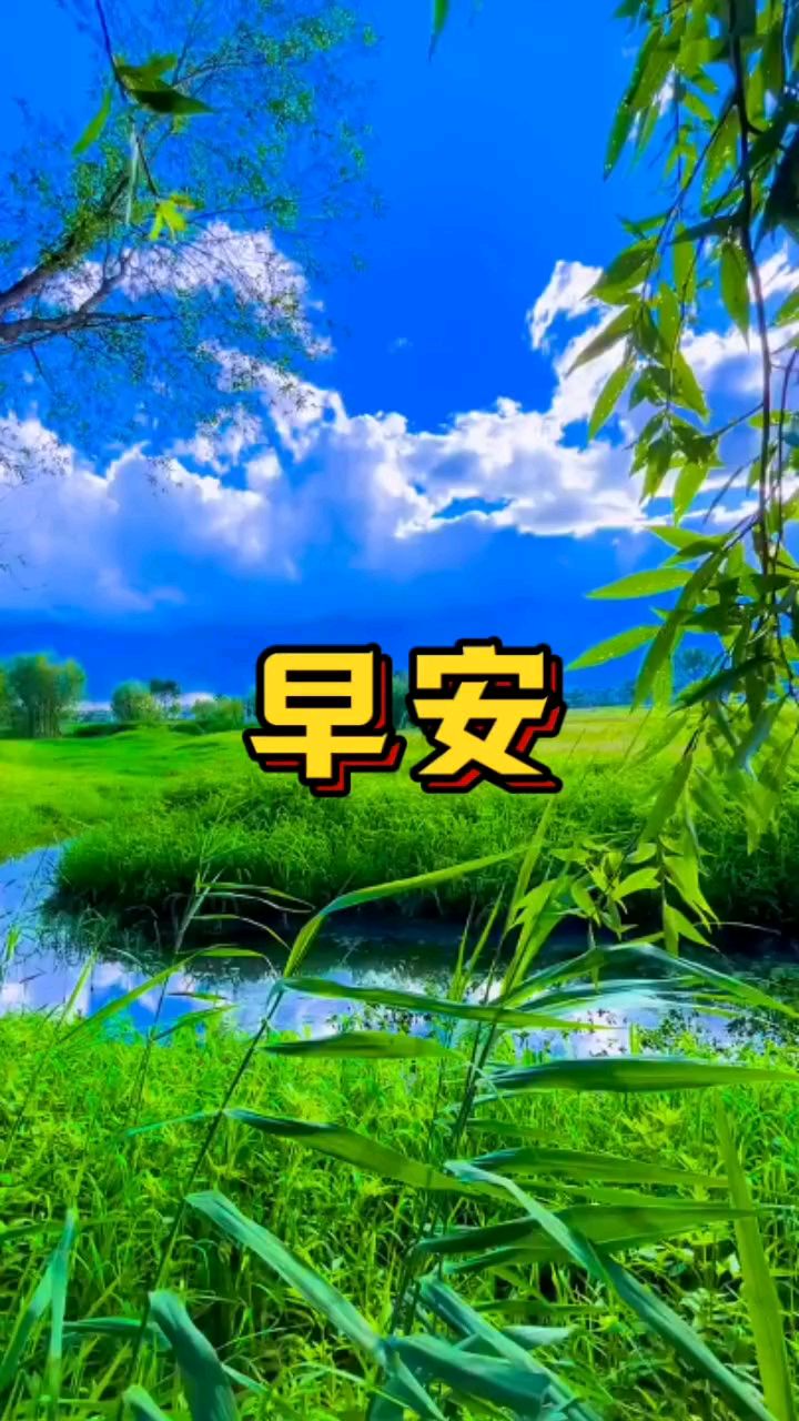 一天之计在于晨!早上好动态图视频分享